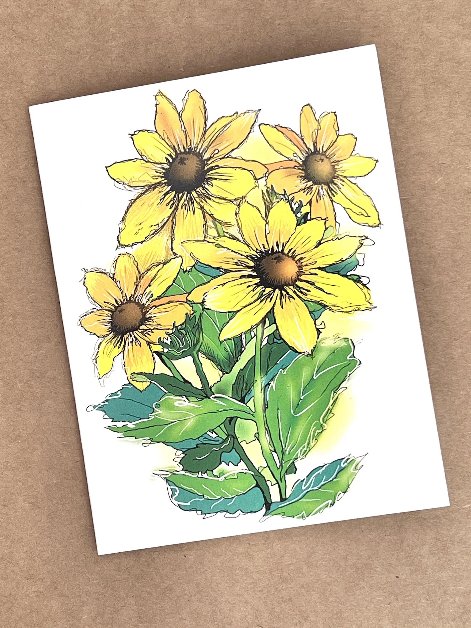 Black-eyed Susan