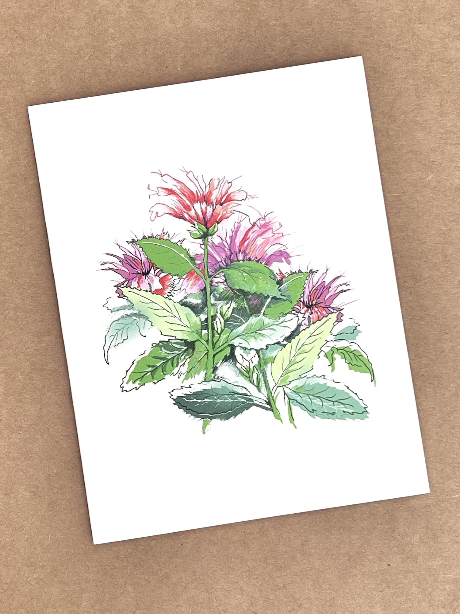 card-bee-balm-1.jpg