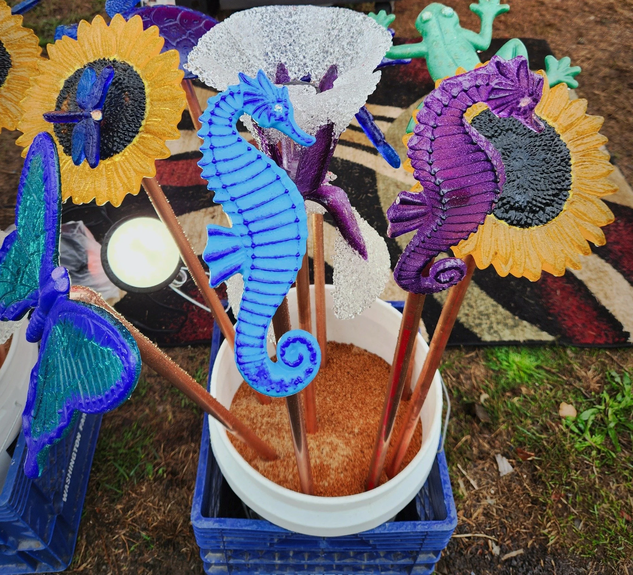 Seahorses.jpg