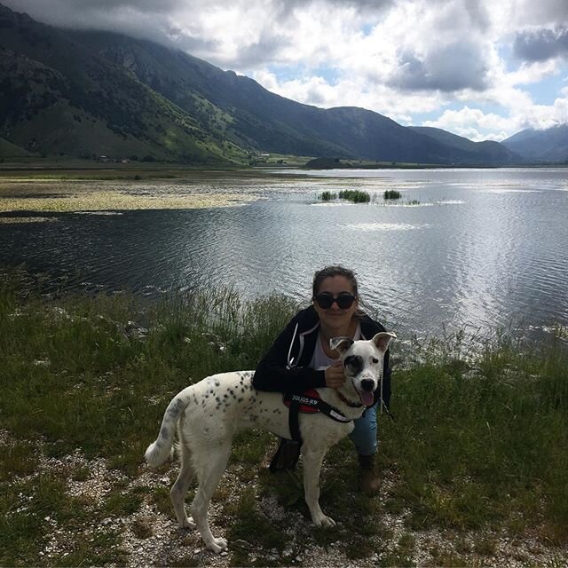 He did not enjoy the journey, and I did not enjoy cleaning him up after, but at least we had fun while we were up there! #lagomatese #banjothebestboy #hatesthecar #puppiesofinstagram #dogsofinstagram #mountainview