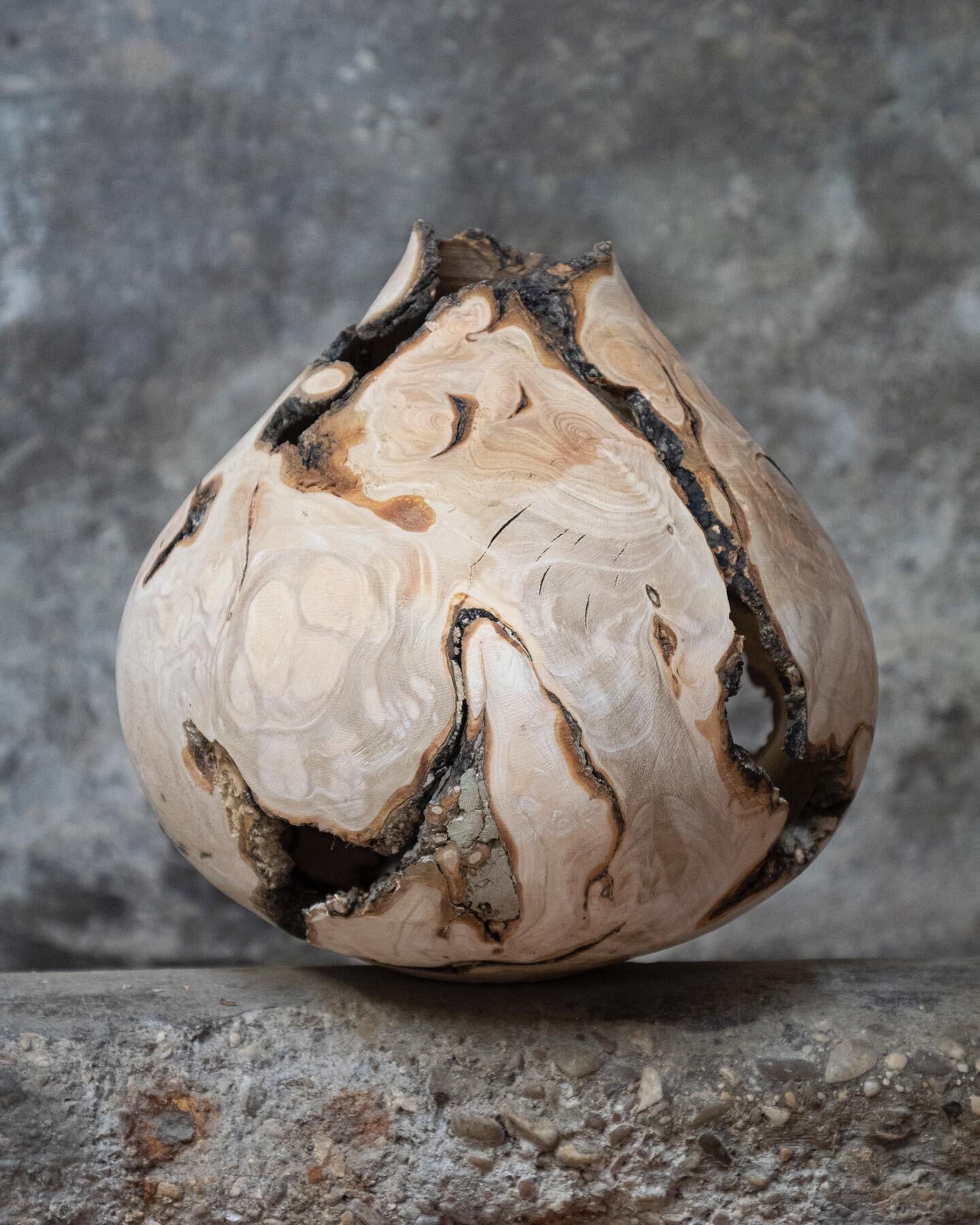 This piece of burl olive is still drying and it will be part of a new art series I am working on this year - in the meantime I am sanding and finishing several new dry oak bowls turned on the two last months, they will be soon available for sale on m