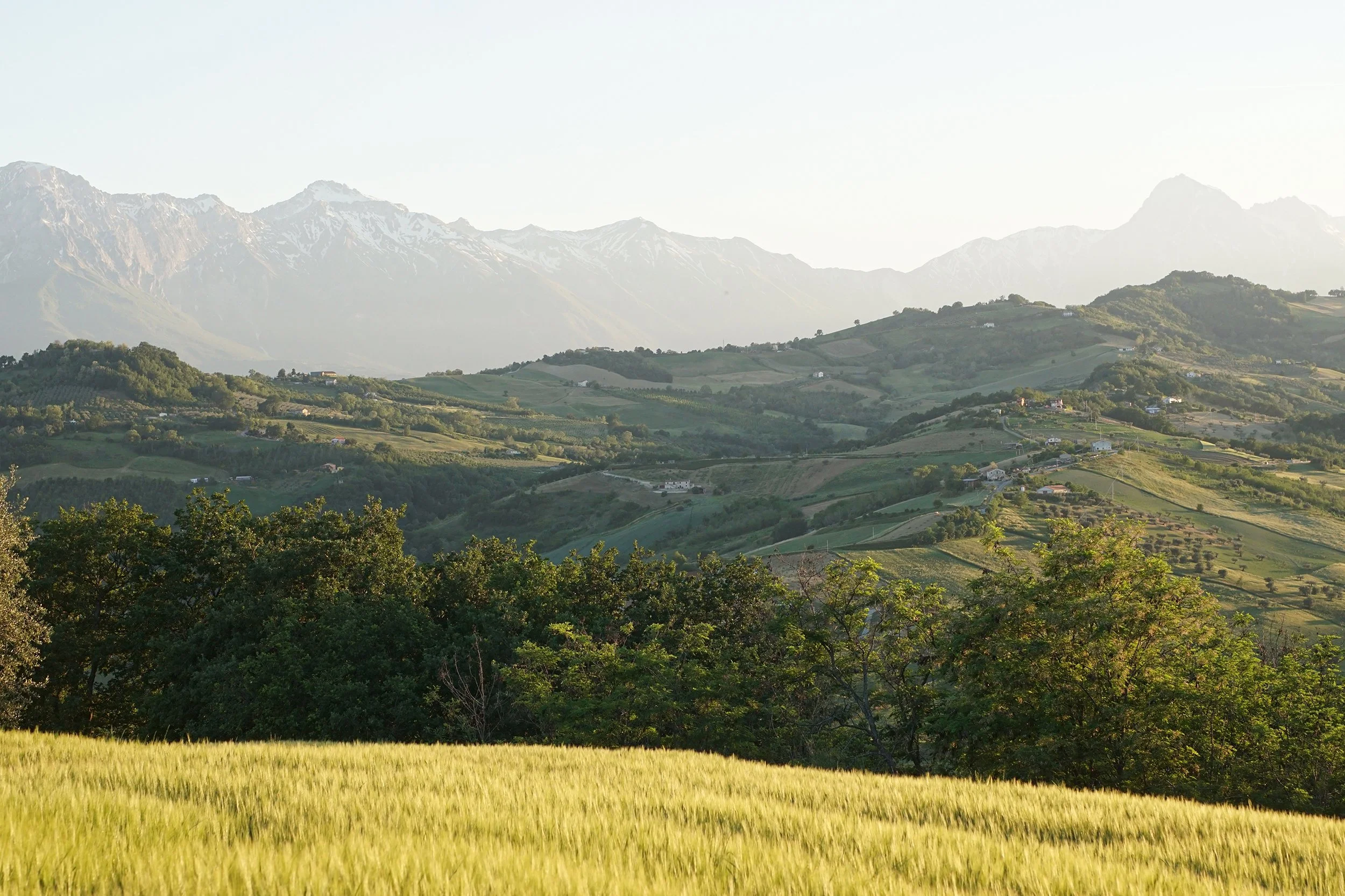 Individual woodturning classes in Abruzzo, Italy, on basic woodturning, bowl turning ,green woodturning, hollow vessels and forms. Workplace equipped with Oneway professional wooturning lathes and accessories, Centauro bandsaw, Tormek and Creusen be