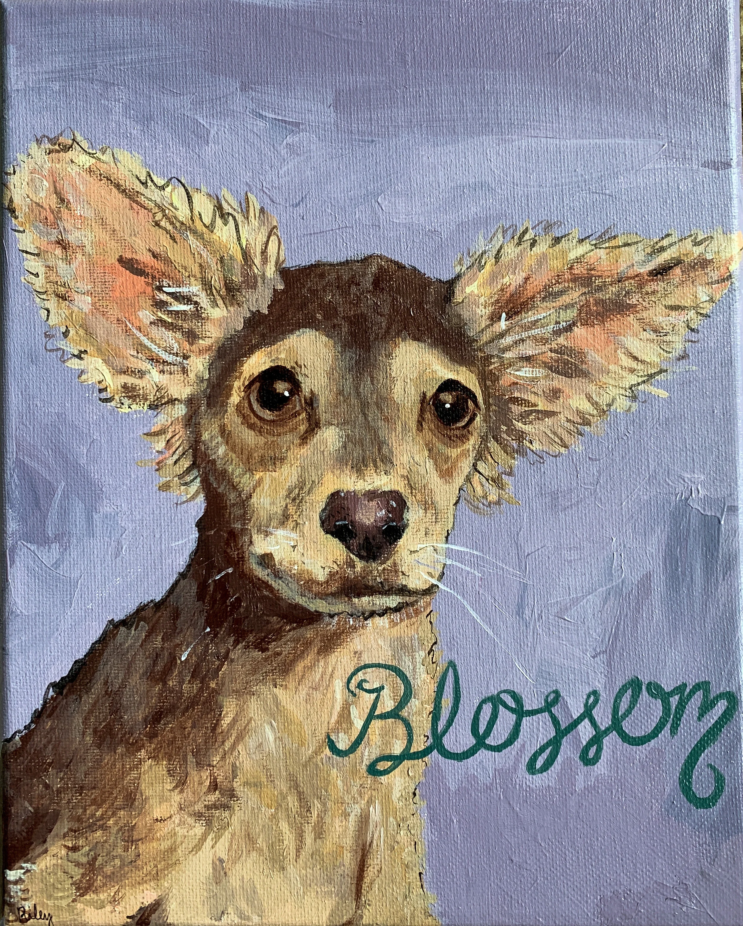 Blossom