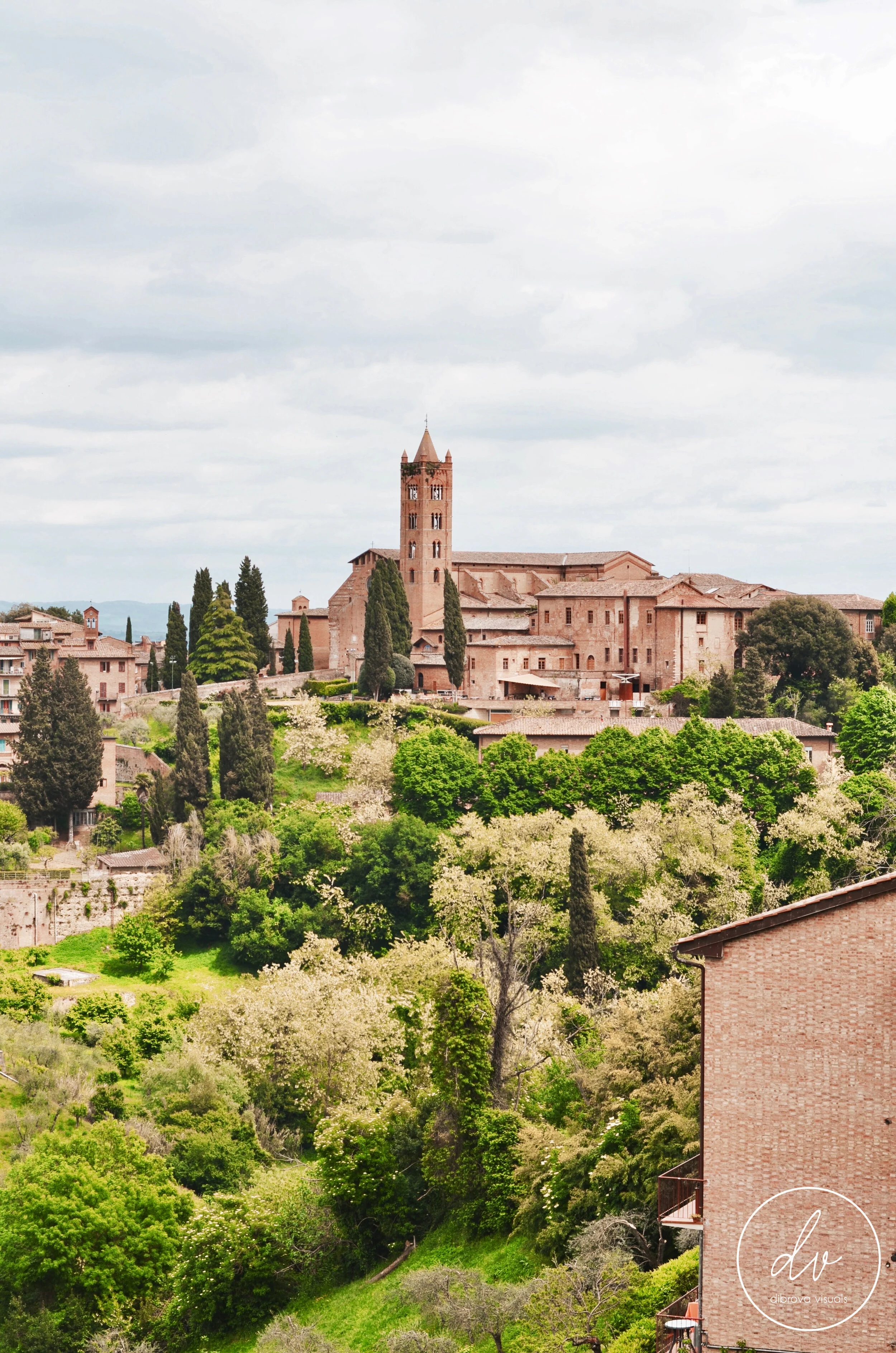 SIENA9.jpg