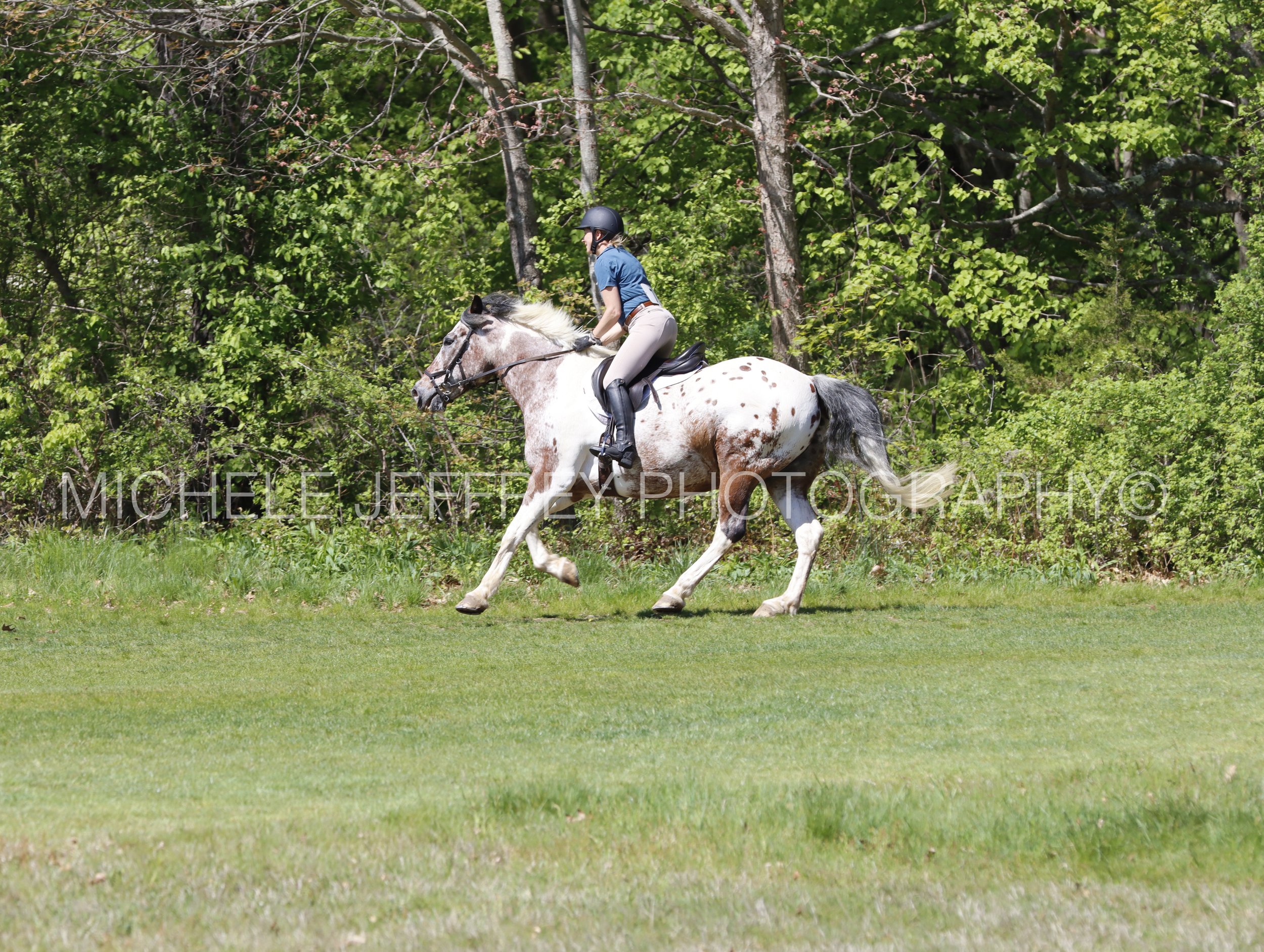 _MG_0083.jpg