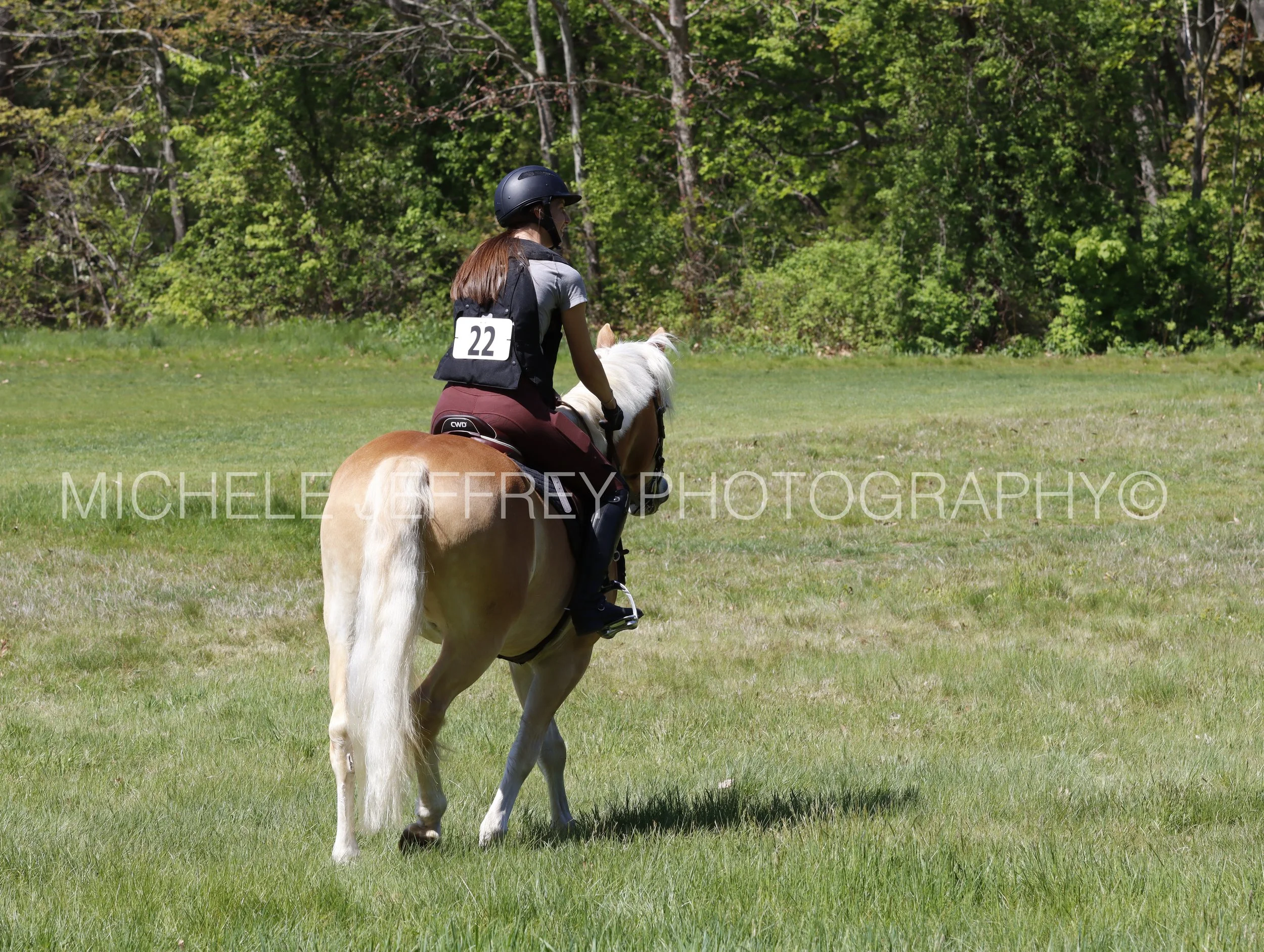 _MG_0250.jpg