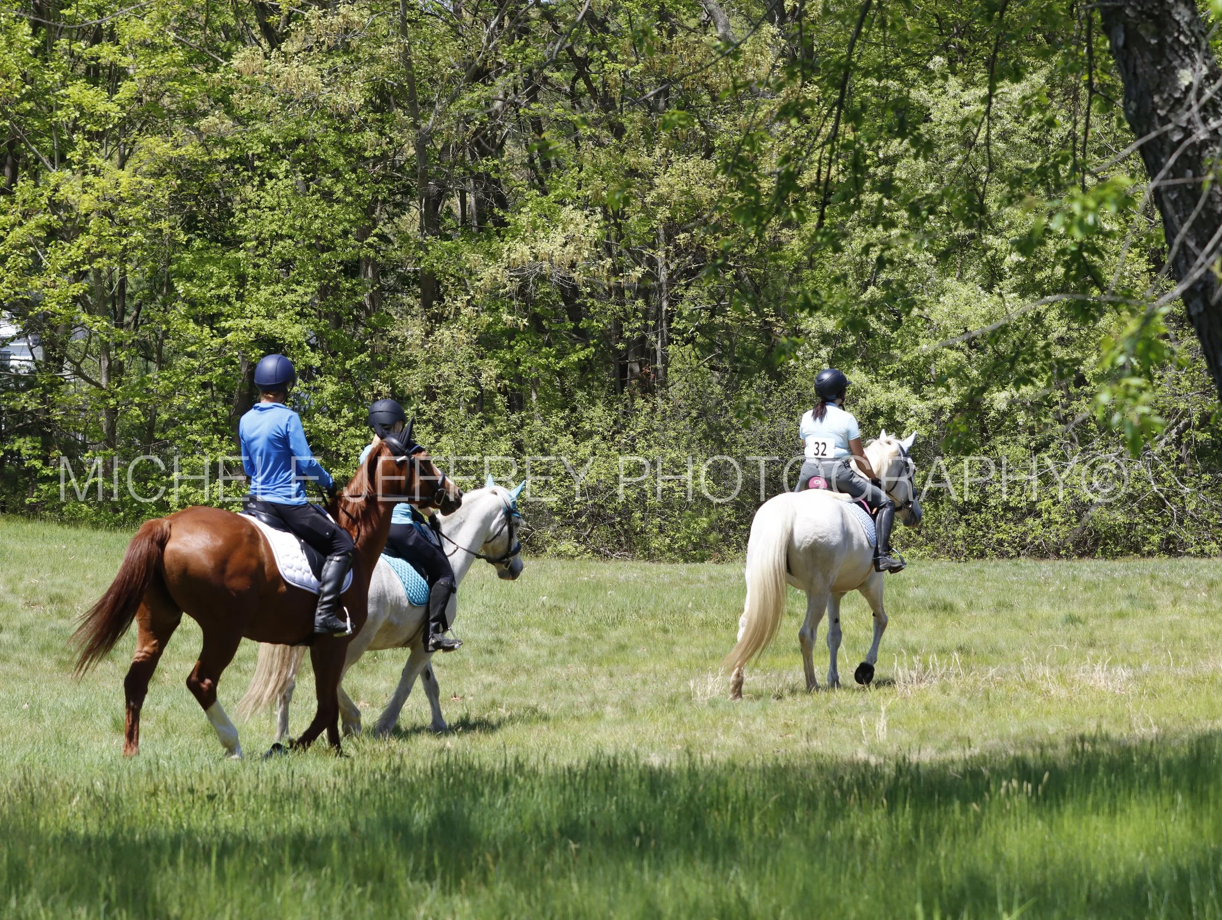 _MG_0784.jpg