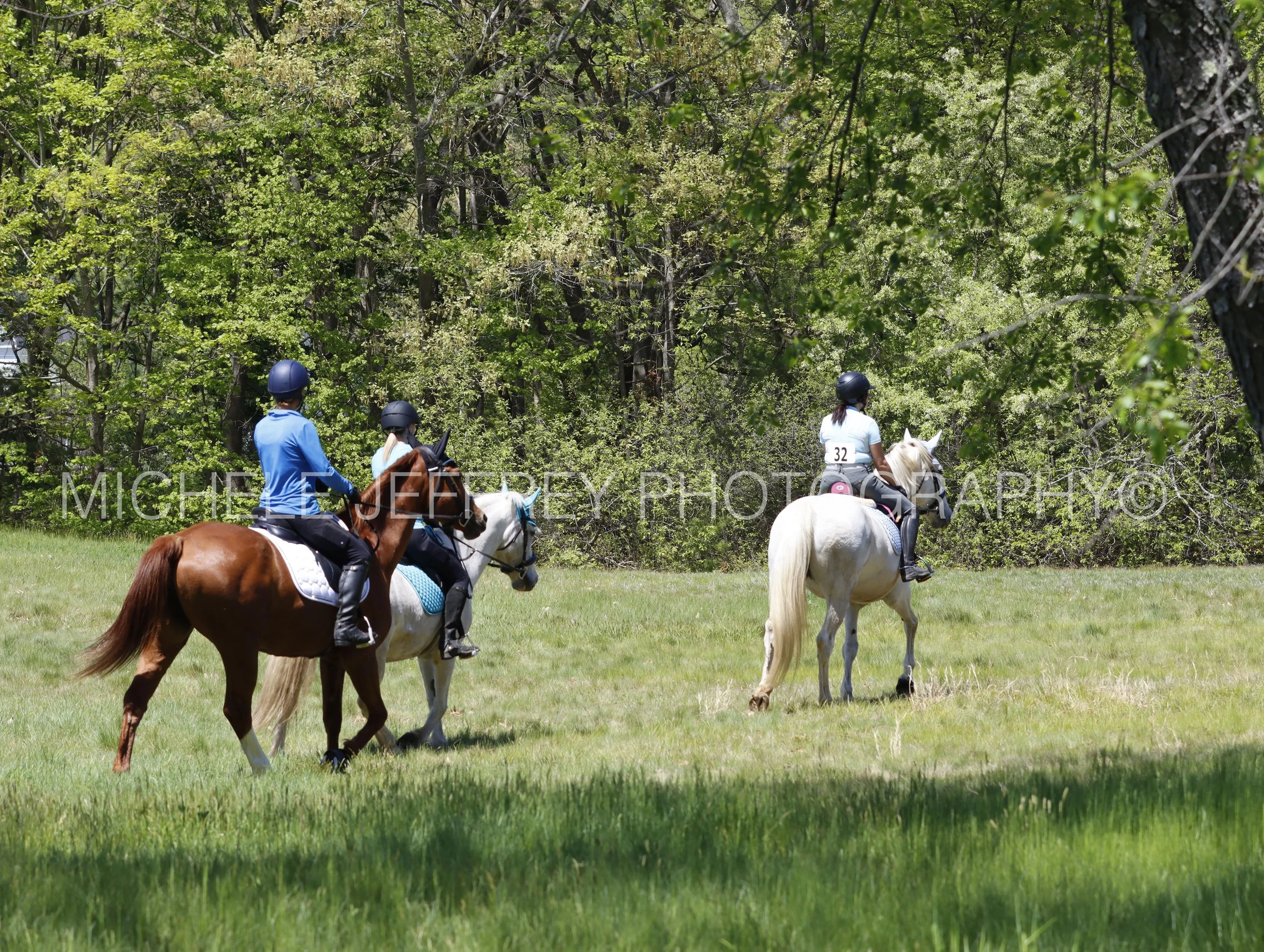 _MG_0785.jpg