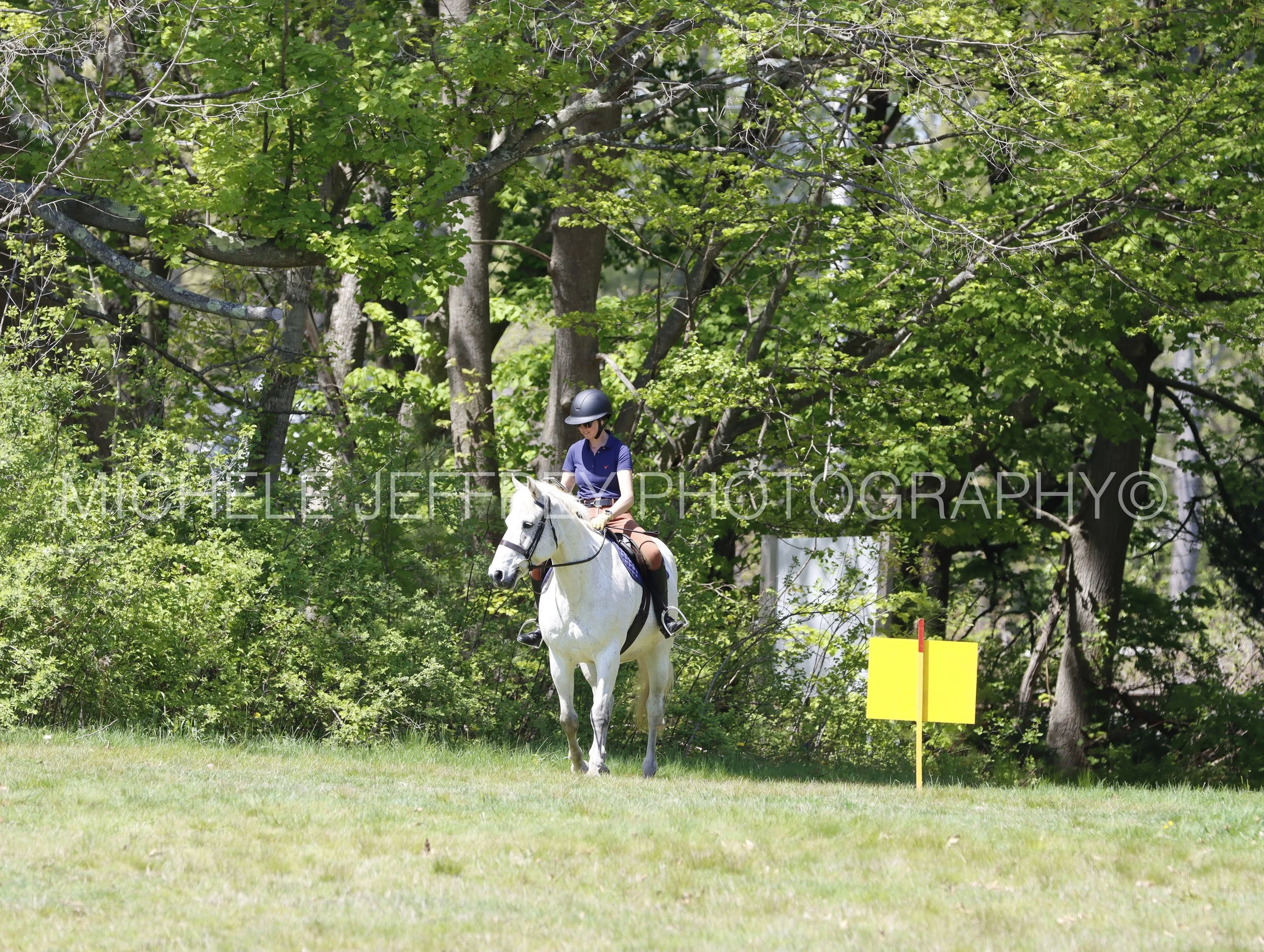 _MG_0787.jpg