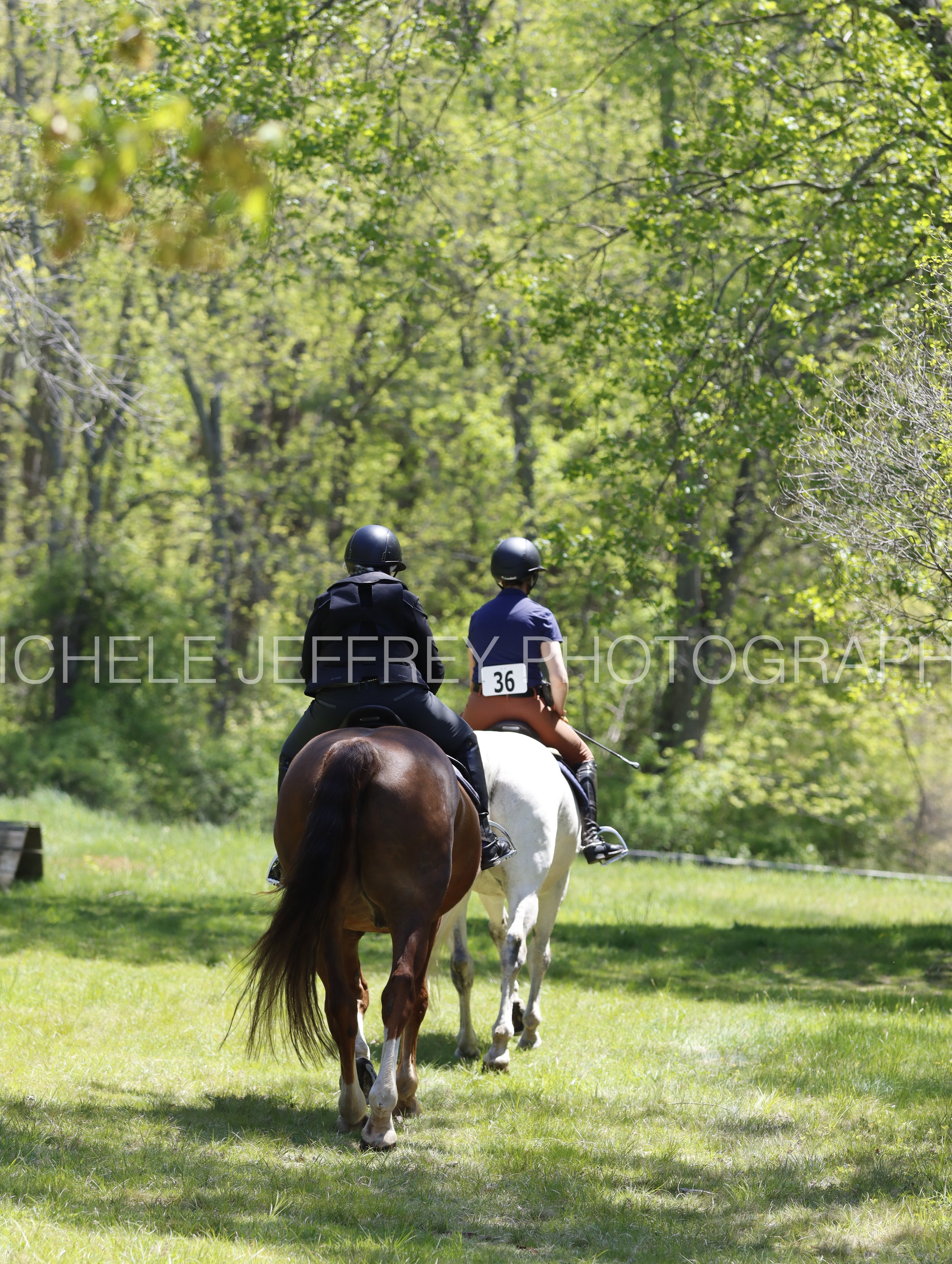 _MG_0983.jpg