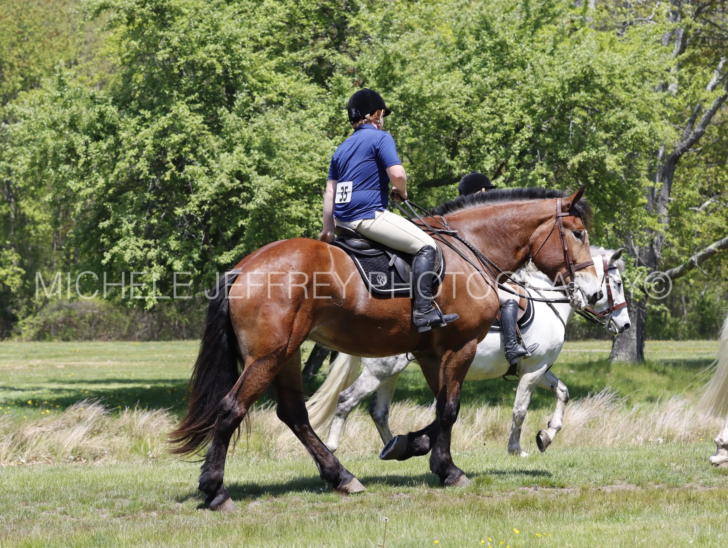 _MG_1321.jpg