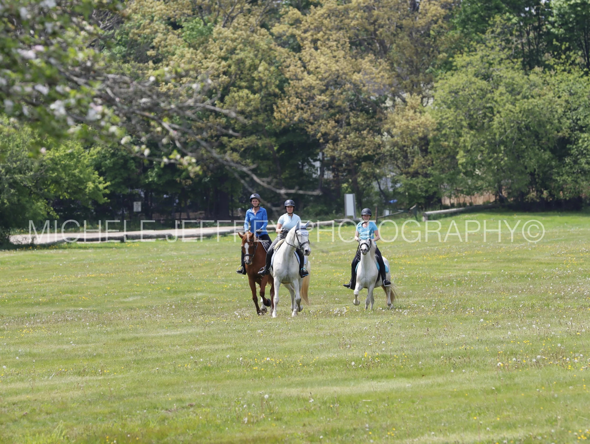 _MG_1545.jpg