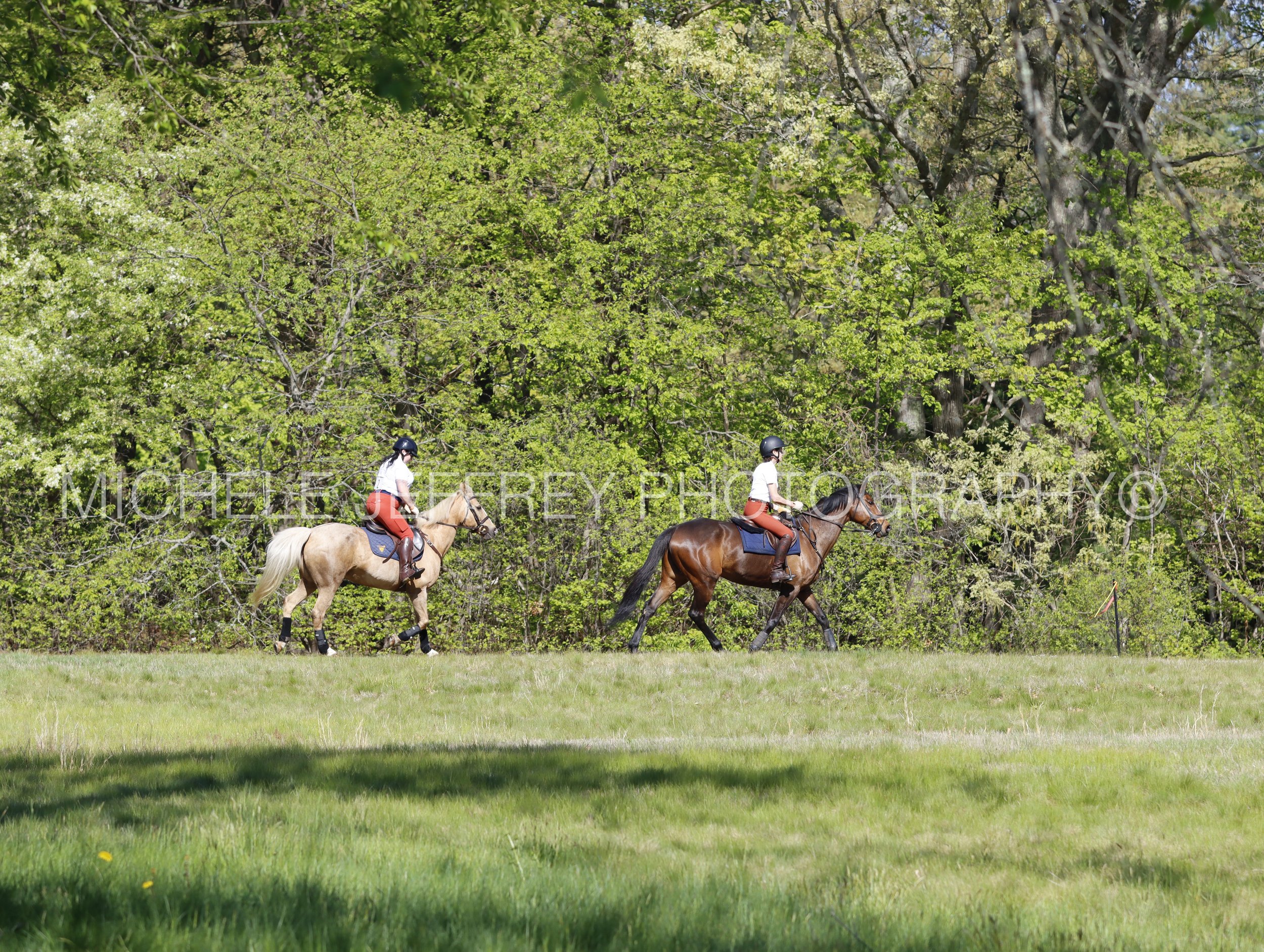 _MG_9186.jpg