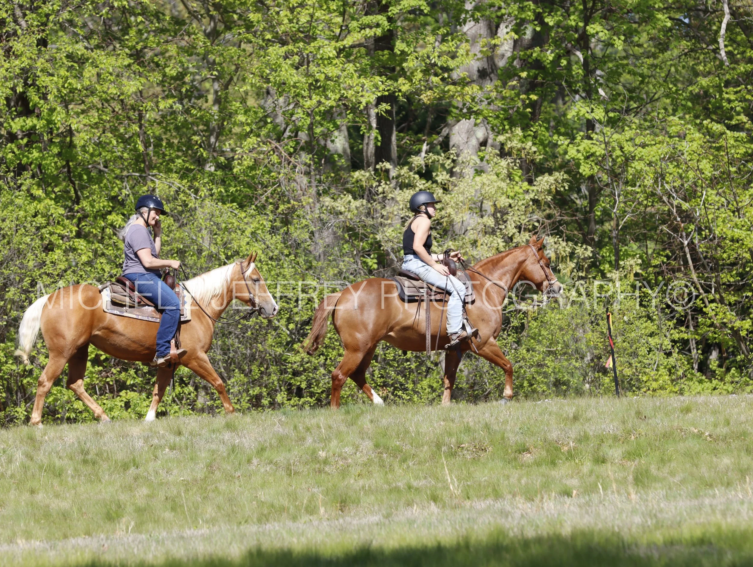 _MG_9587.jpg