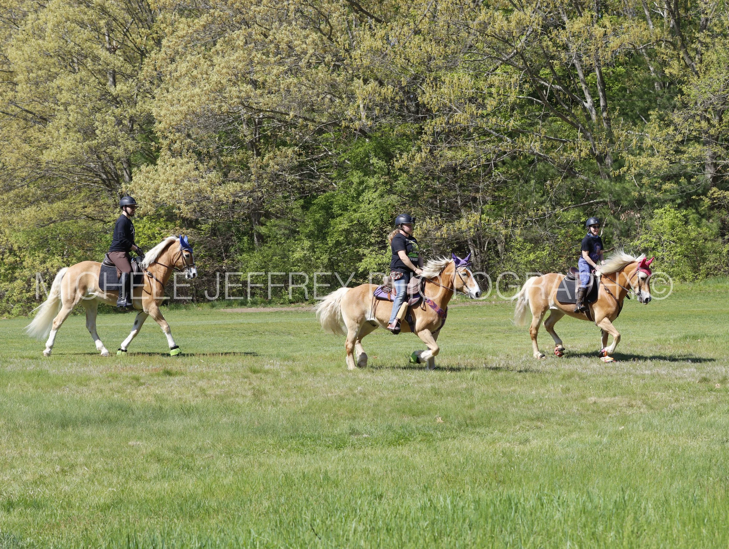 _MG_9664.jpg