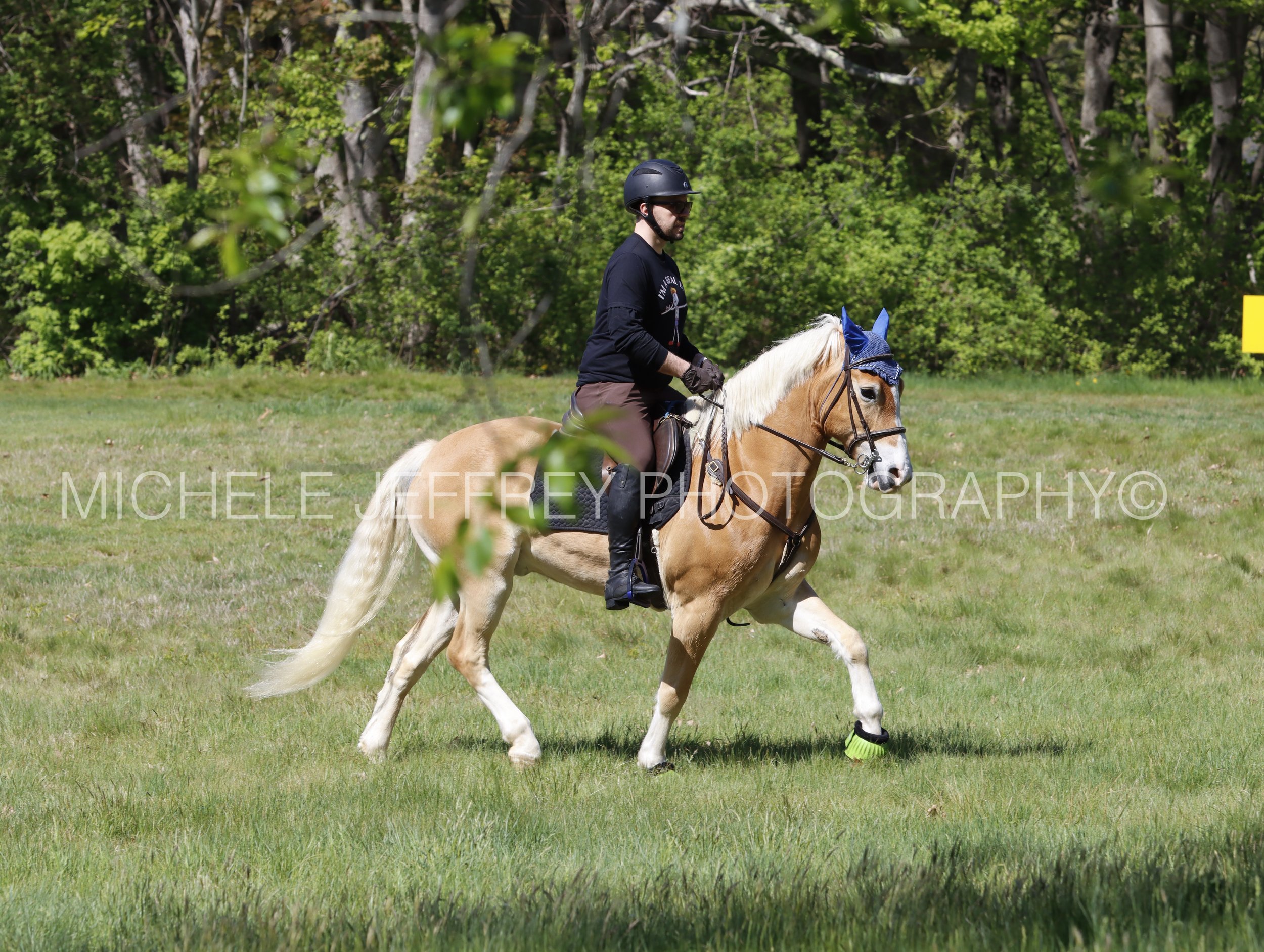 _MG_9673.jpg