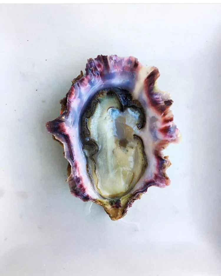 Alaska Shellfish Farms Oysters, kelp Mussels