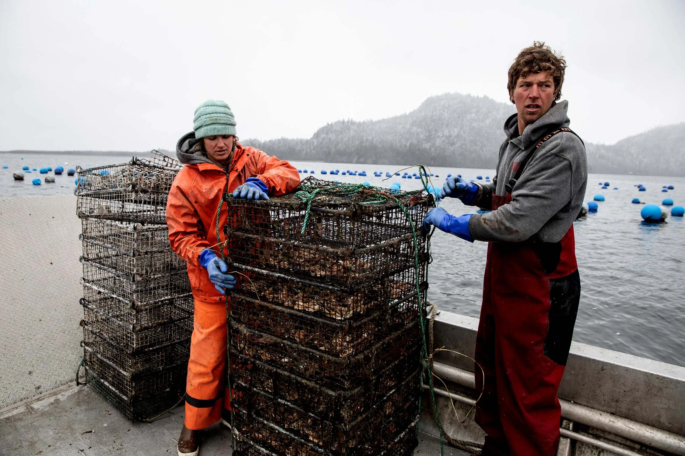 Alaska Shellfish Farms Glacier Point Oysters & Mussels