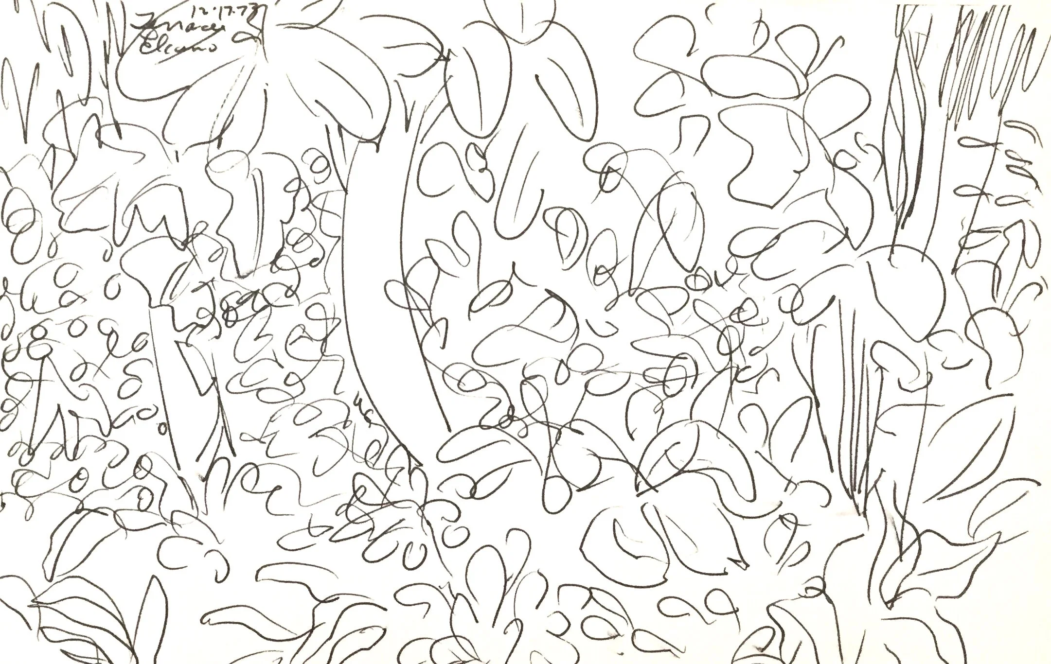 Tropical Landscape 5.jpg