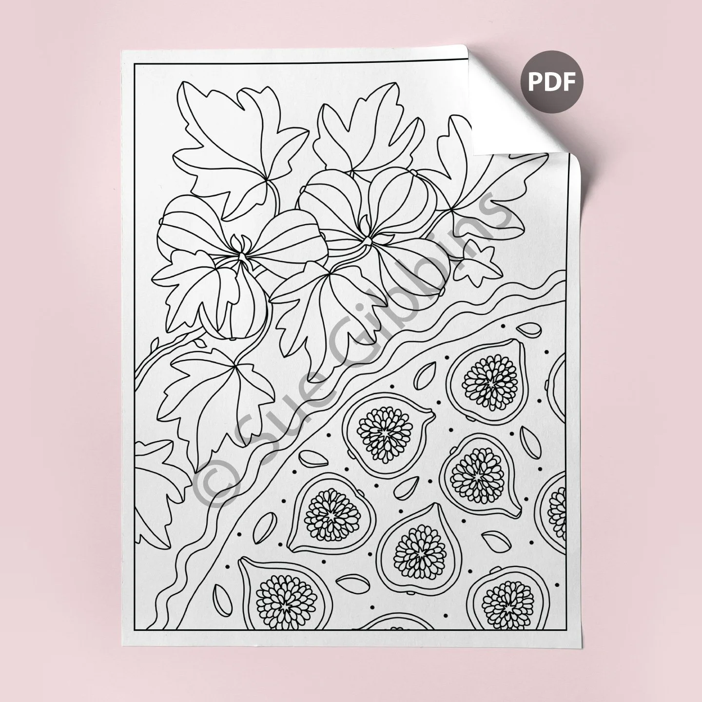 US-Coloring-Page-corner_Fig-Tart.jpg
