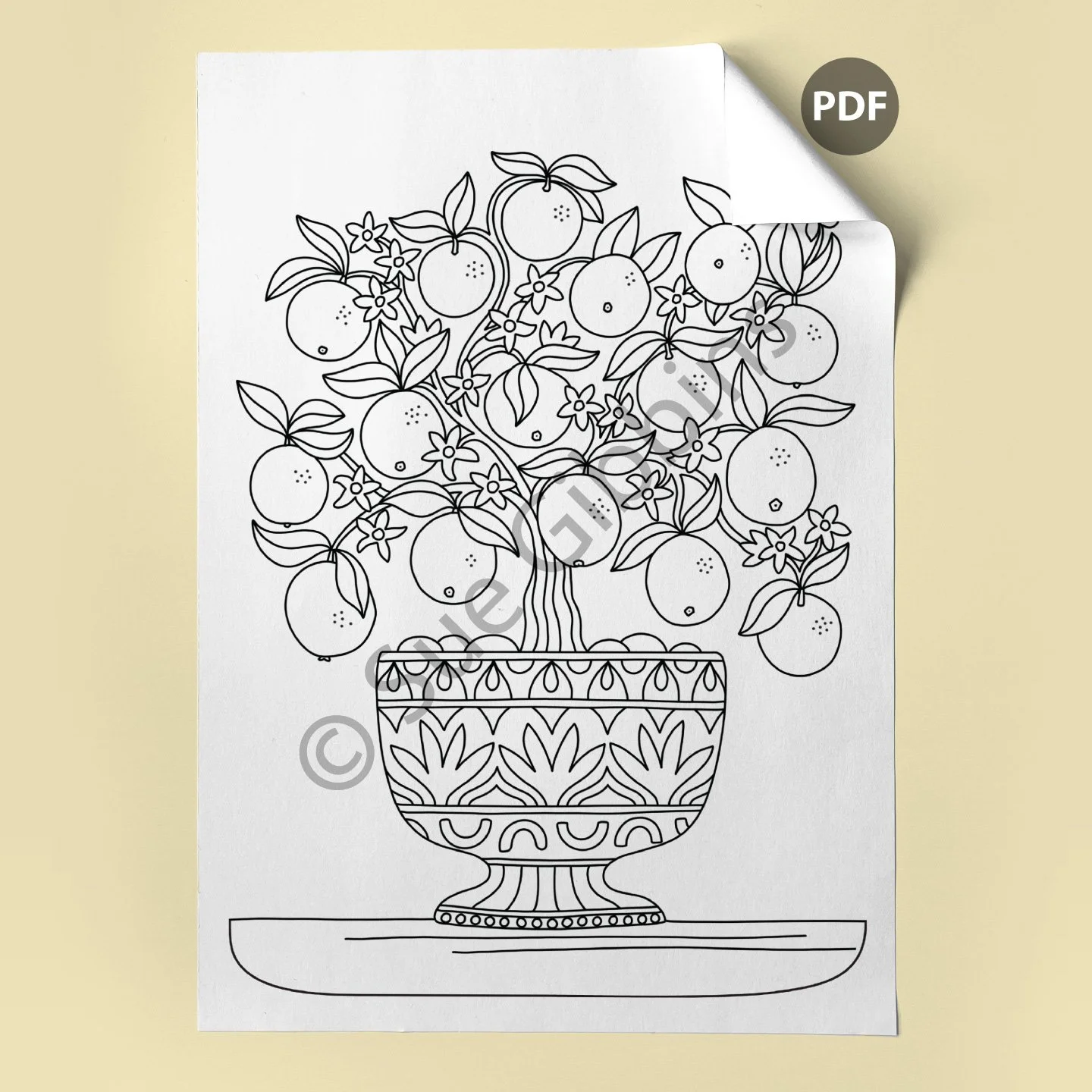 A4-Colouring-Page-corner_Orange-Tree.jpg