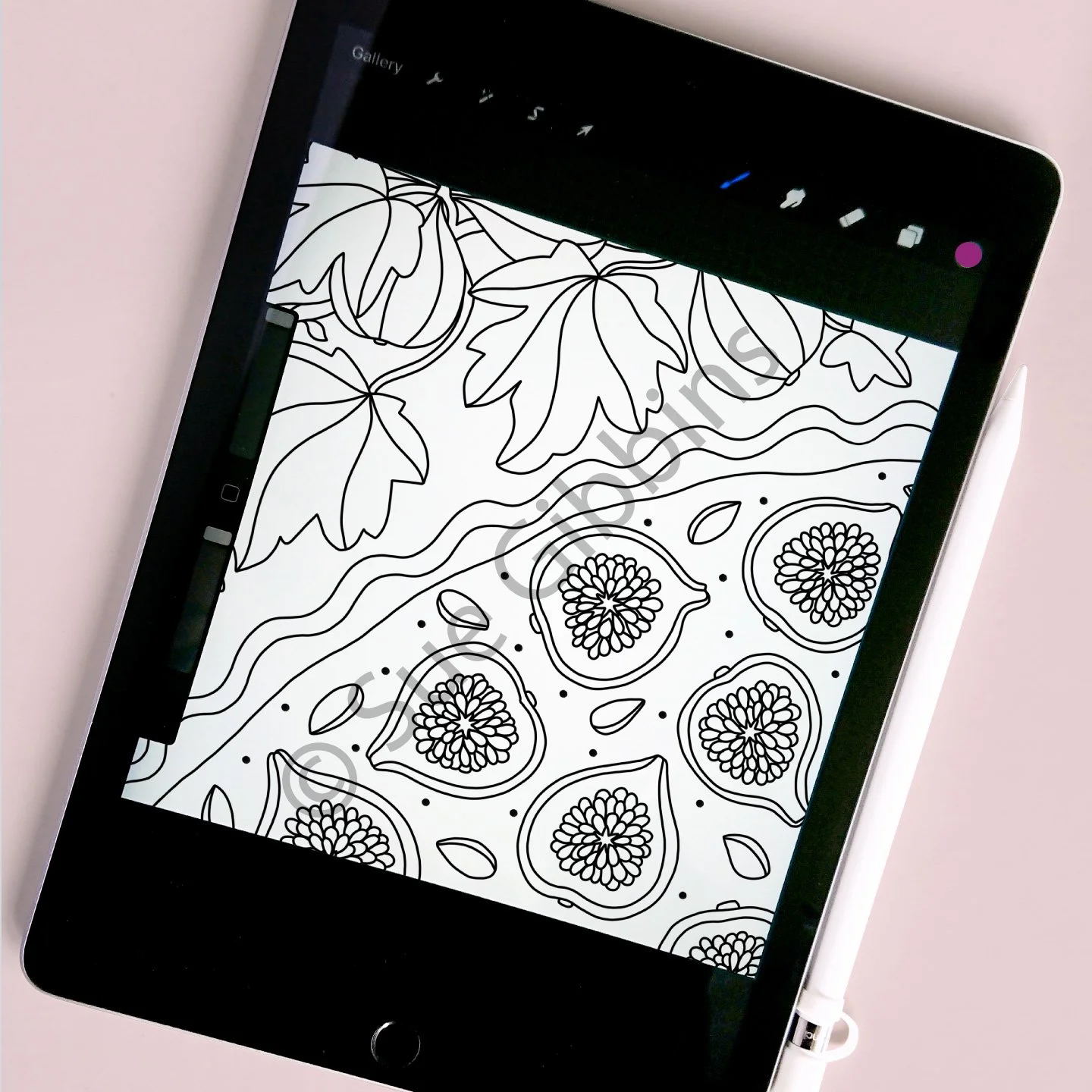 iPad-Colouring_Fig-Tart.jpg
