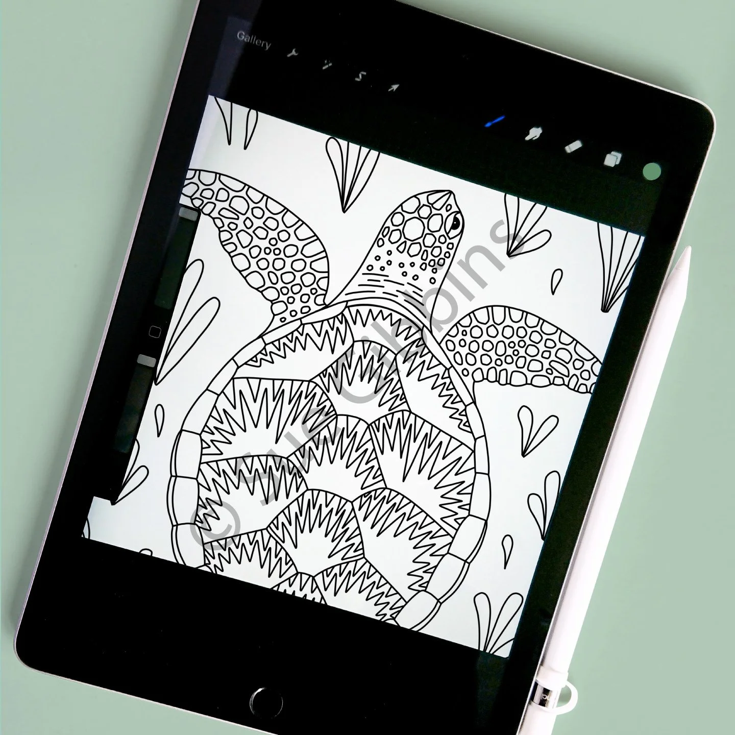 iPad-Colouring_Turtle.jpg