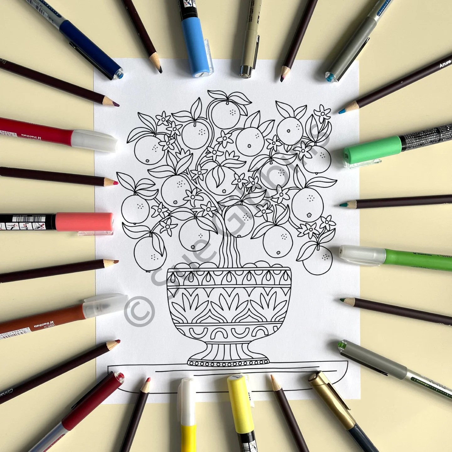 US-PencilPen-Coloring_Orange-Tree.jpg
