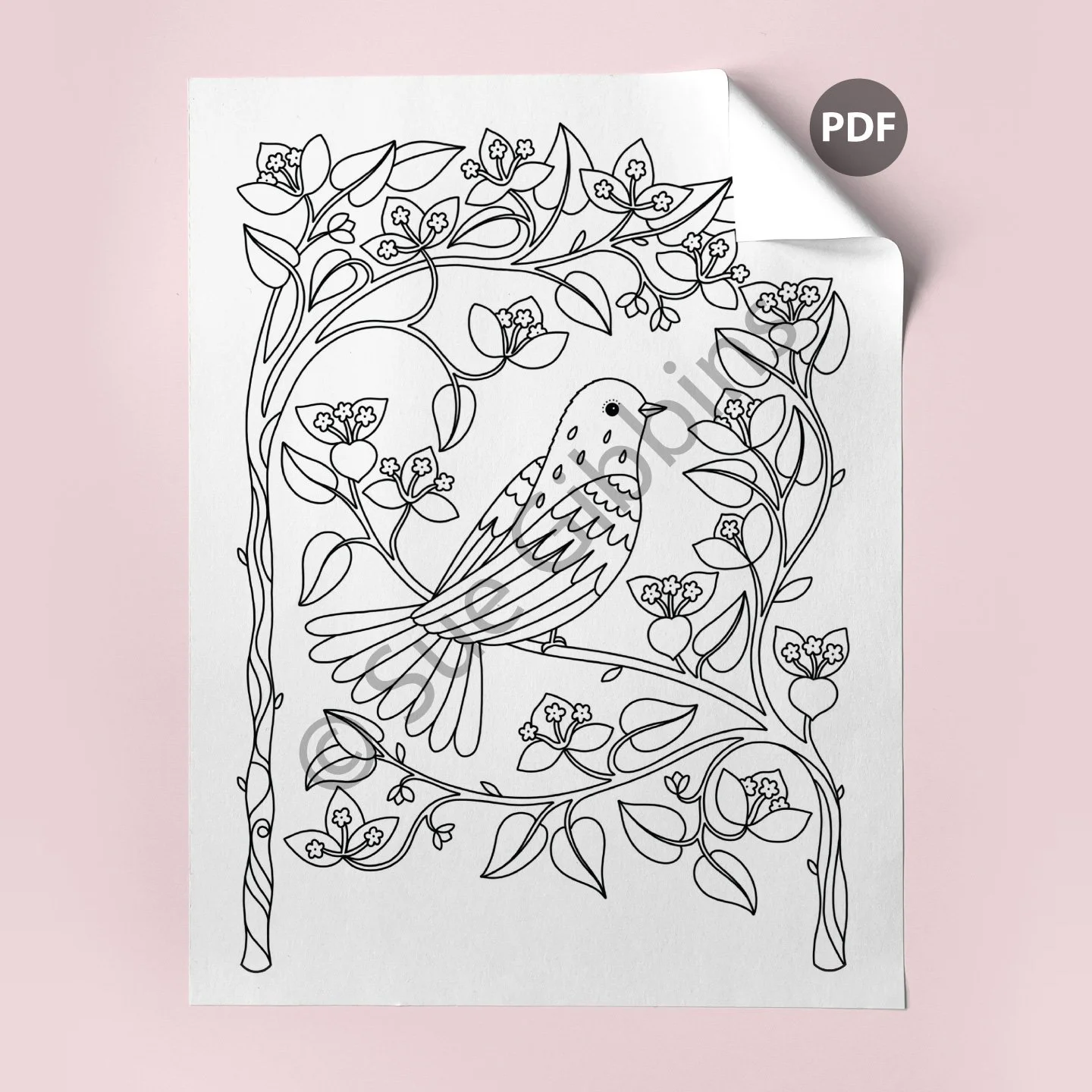 US-Coloring-Page-corner_Boug-Bird.jpg