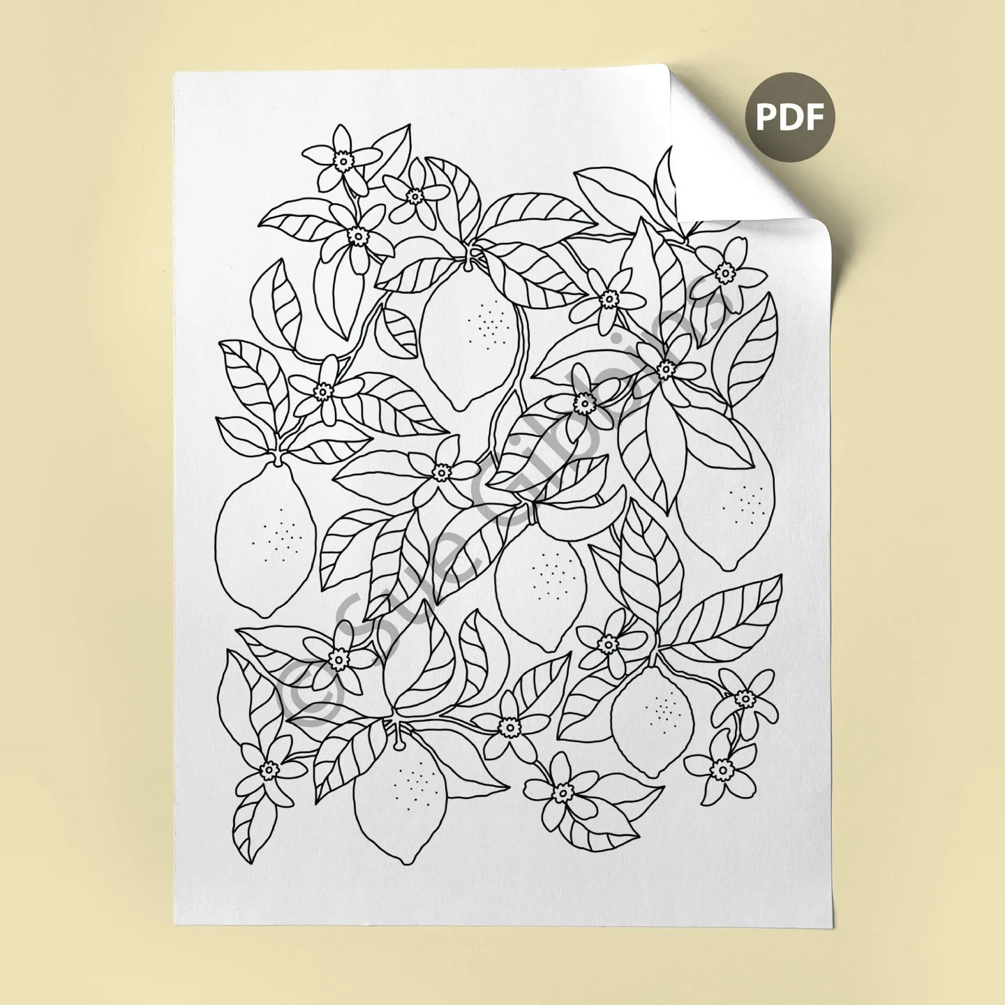 US-Coloring-Page-corner_Lemon-Tree.jpg