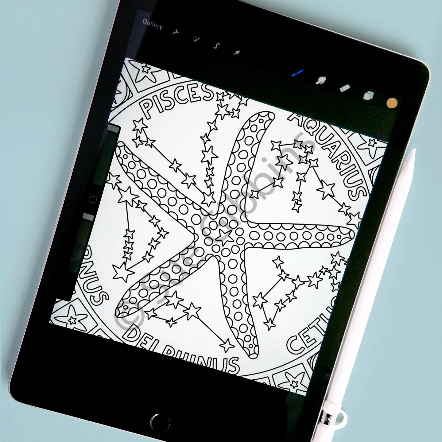 iPad-Colouring_Sea-Star.jpg