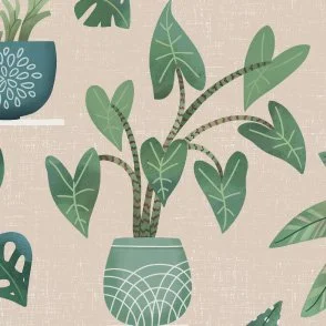 Plant Shelves - Beige & Green - Biophilic Indoor Houseplant Garden by Rocket & Indigo