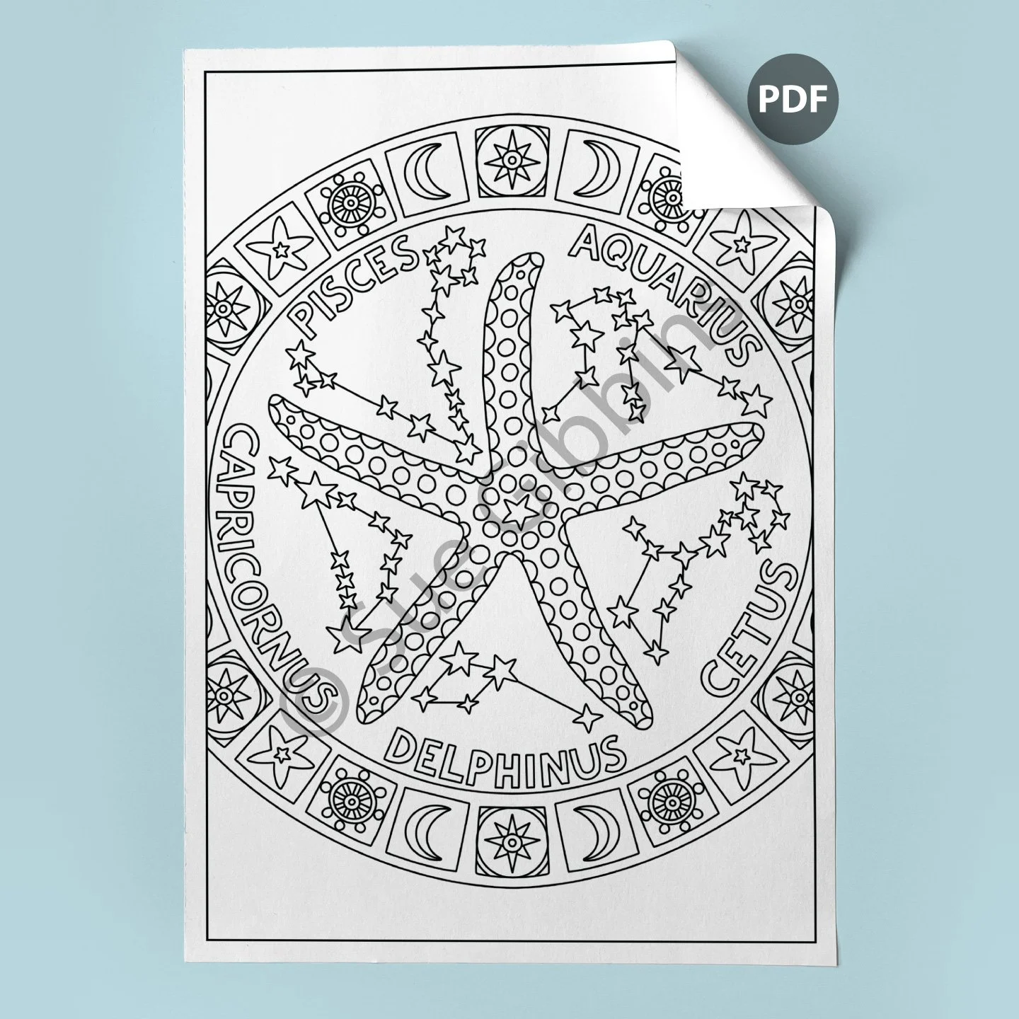 A4-Colouring-Page-corner_Sea-Star.jpg