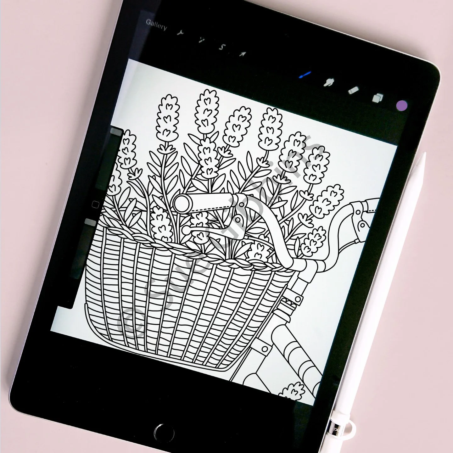 iPad-Colouring_Lavender-Bicycle.jpg