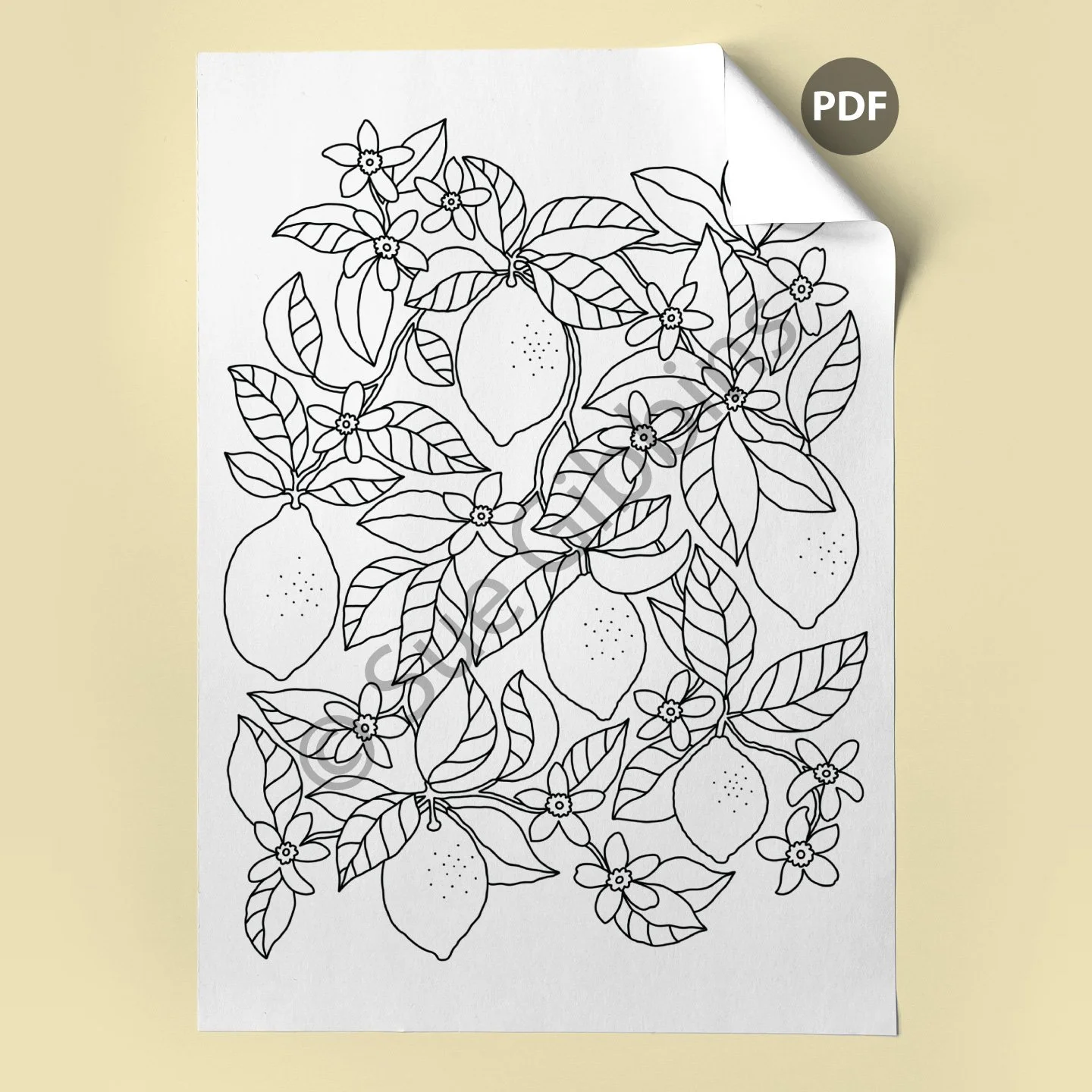 A4-Colouring-Page-corner_Lemon-Tree.jpg