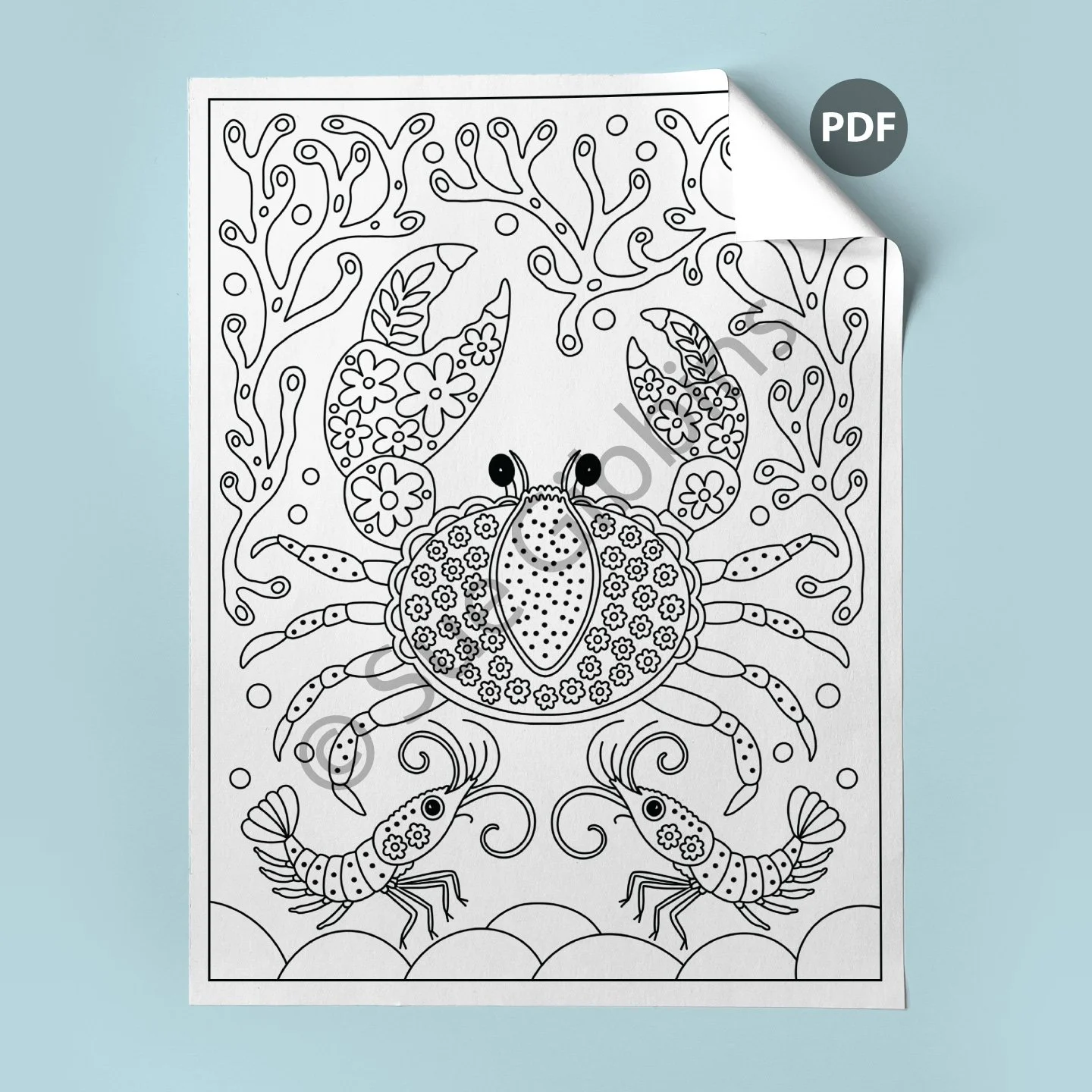 US-Coloring-Page-corner_Crab-Shrimps.jpg