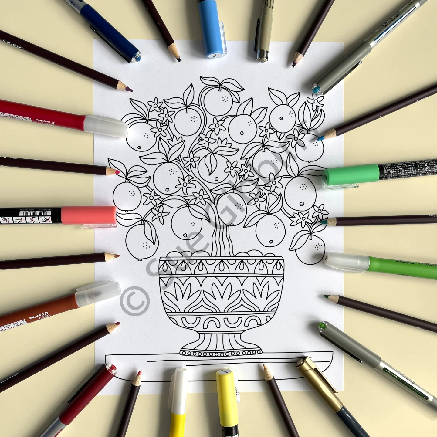 A4-PencilPen-Colouring_Orange-Tree.jpg