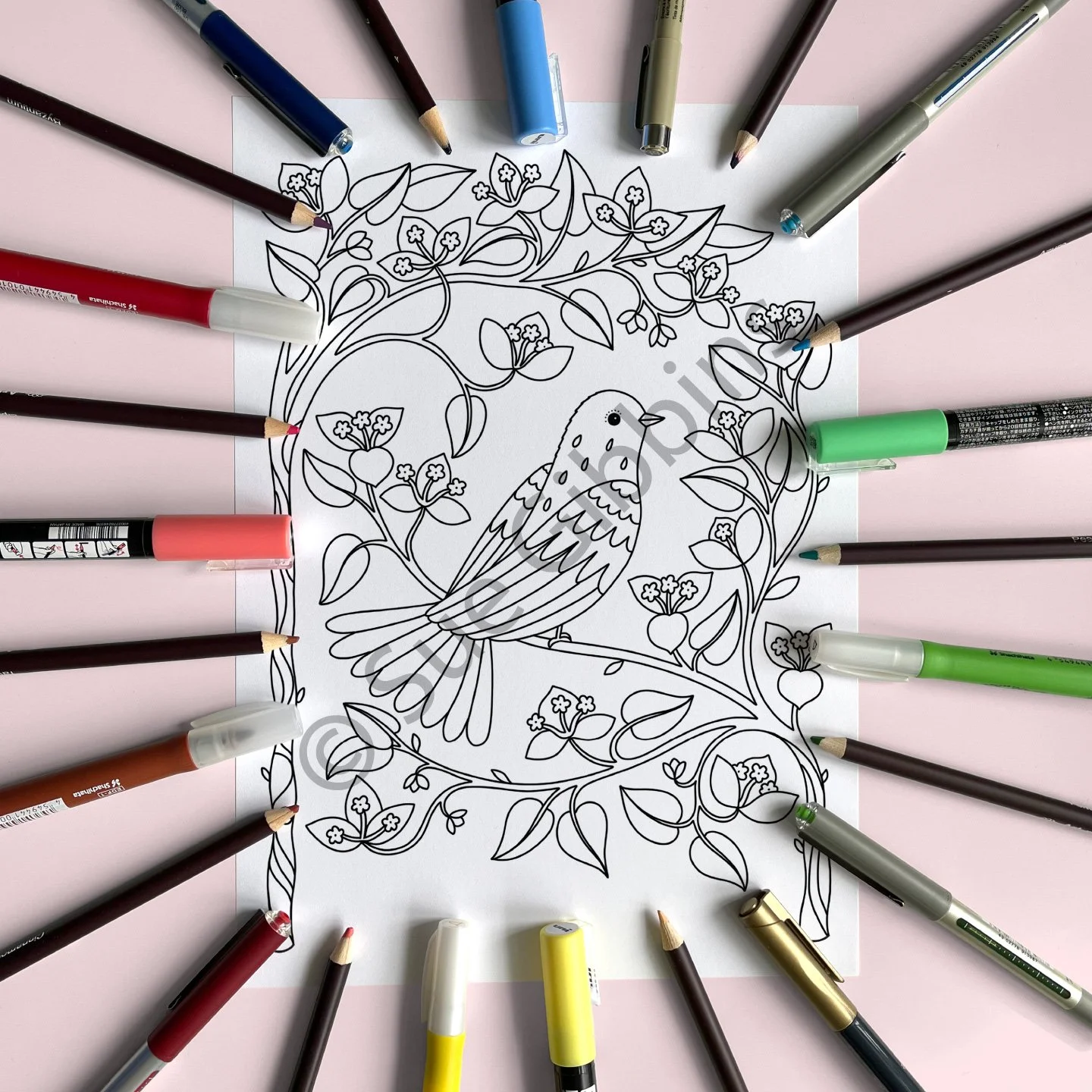 A4-PencilPen-Colouring_Boug-Bird.jpg