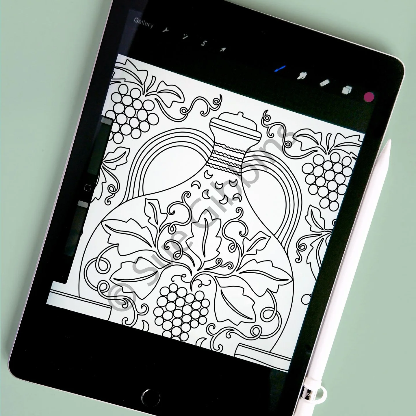 iPad-Colouring_Amphora-Grapes.jpg