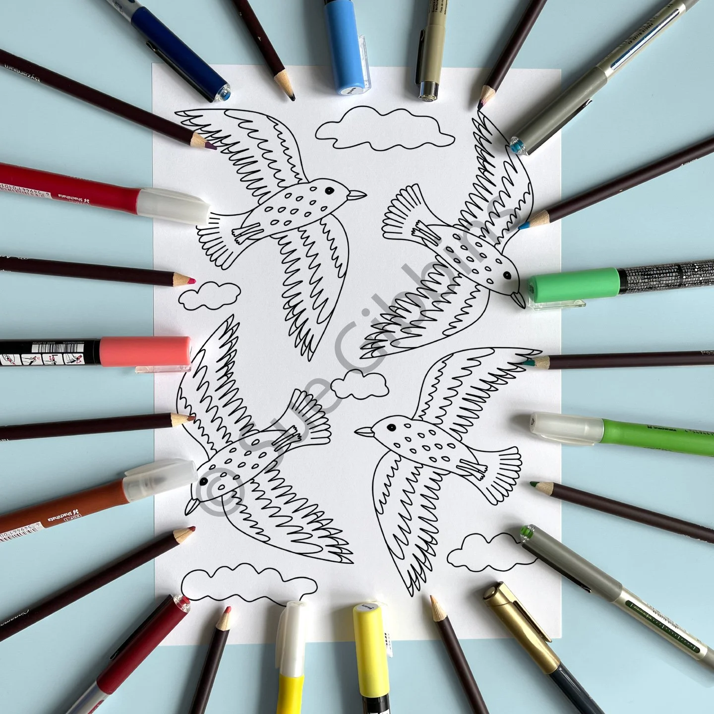 A4-PencilPen-Colouring_Sea-Birds.jpg