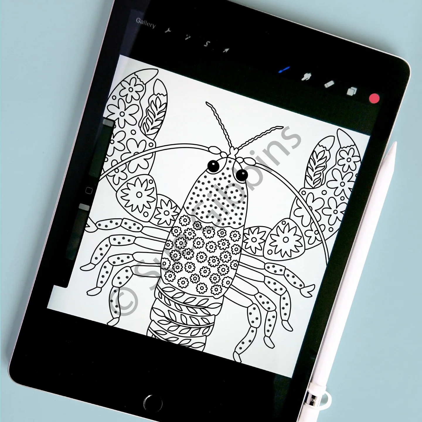 iPad-Colouring_Lobster.jpg