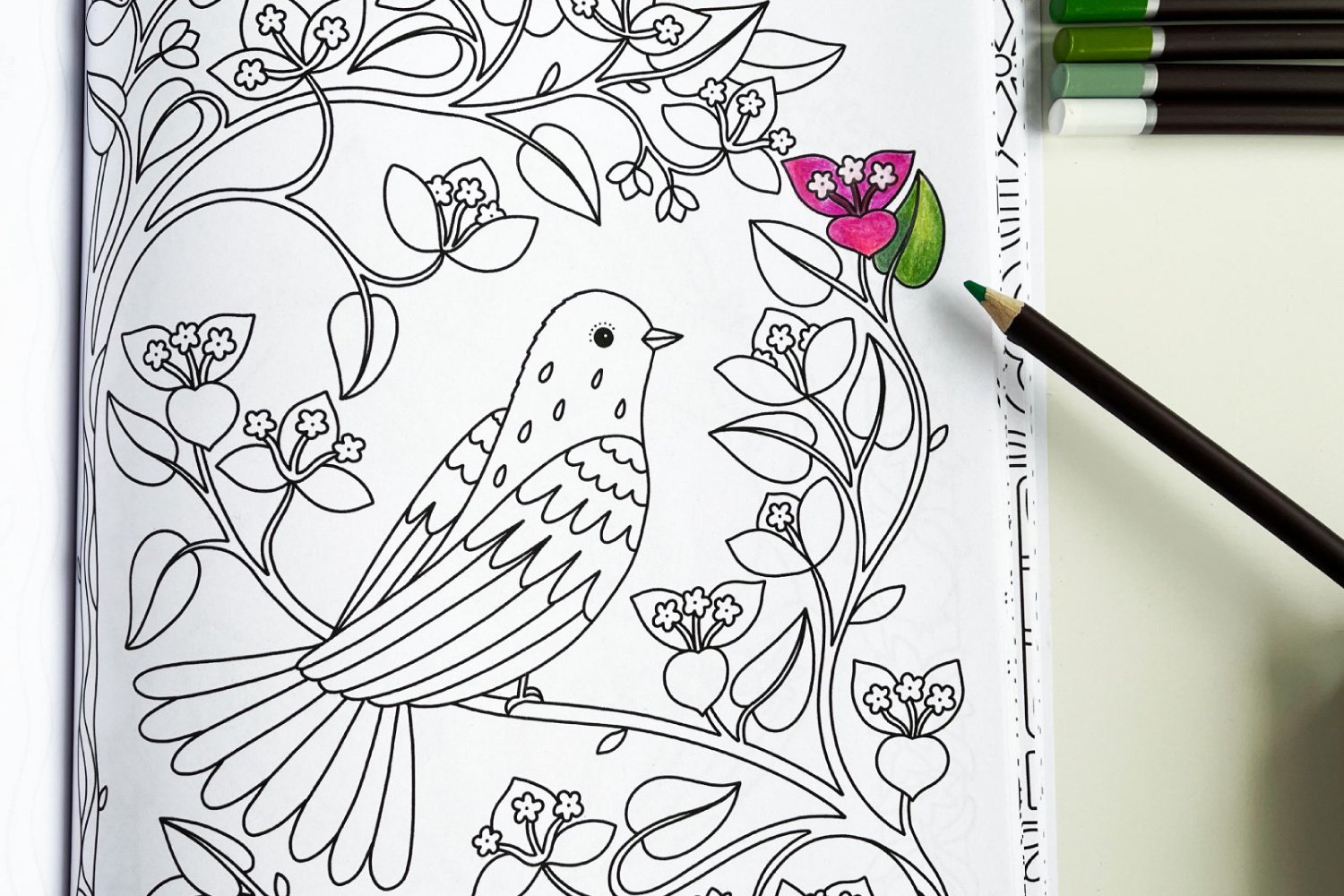 Close up photo of a colouring page featuring a dove in a bougainvillea tree. The line art has a small amount of colouring in and pencils are next to the book.