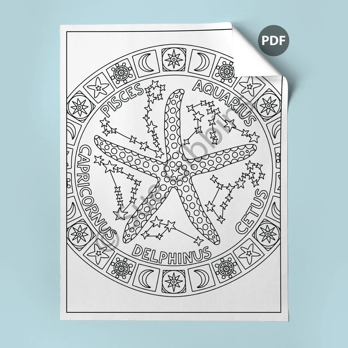 US-Coloring-Page-corner_Sea-Star.jpg
