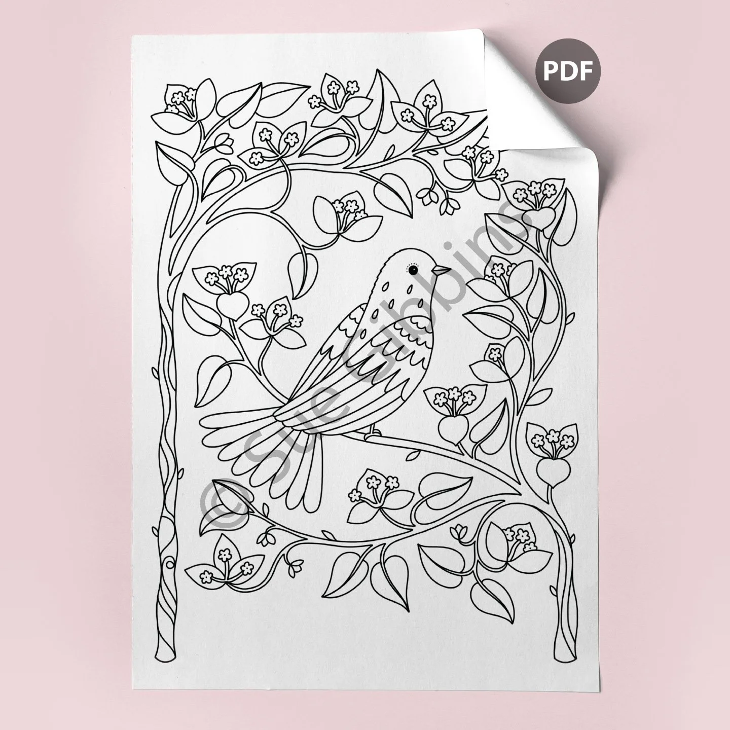 A4-Colouring-Page-corner_Boug-Bird.jpg