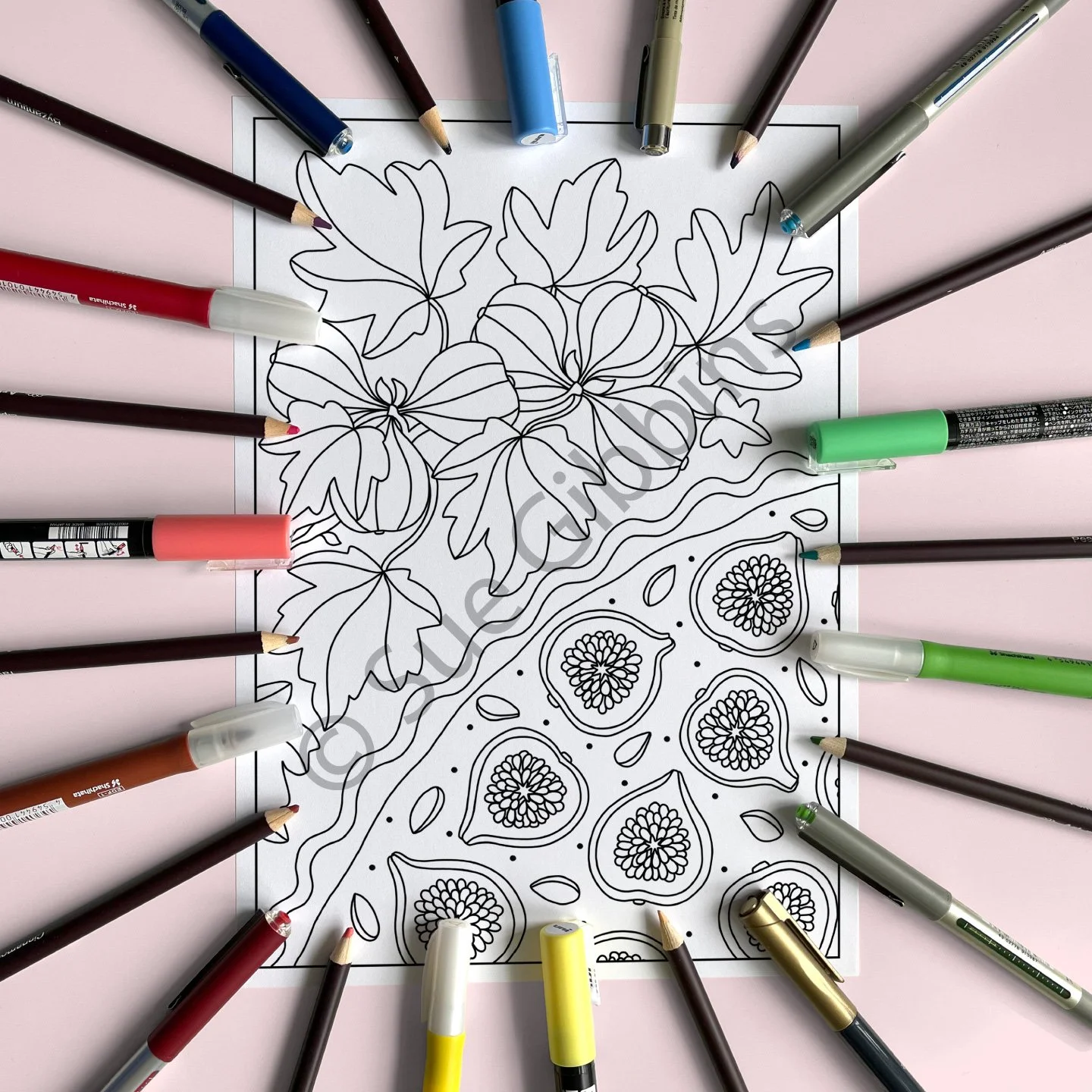 A4-PencilPen-Colouring_Fig-Tart.jpg