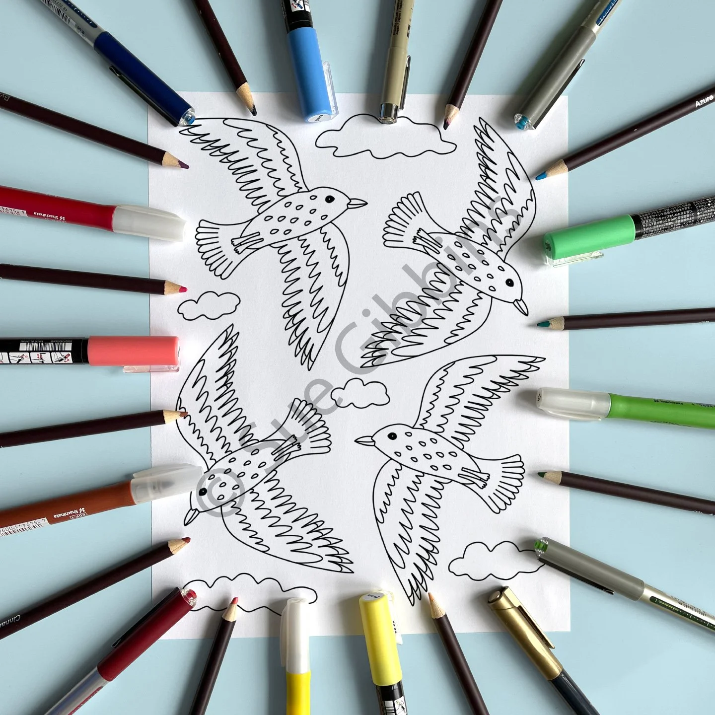 US-PencilPen-Coloring_Sea-Birds.jpg