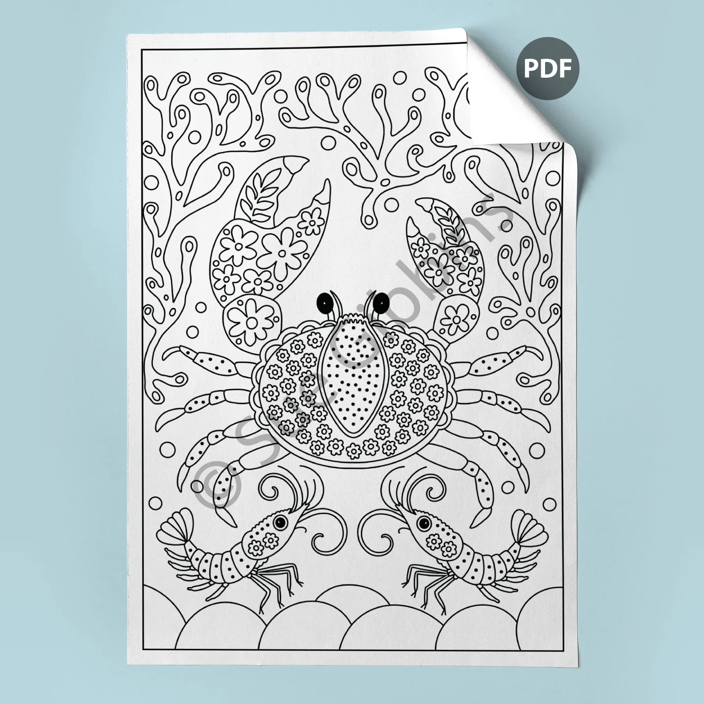 A4-Colouring-Page-corner_Crab-Shrimps.jpg