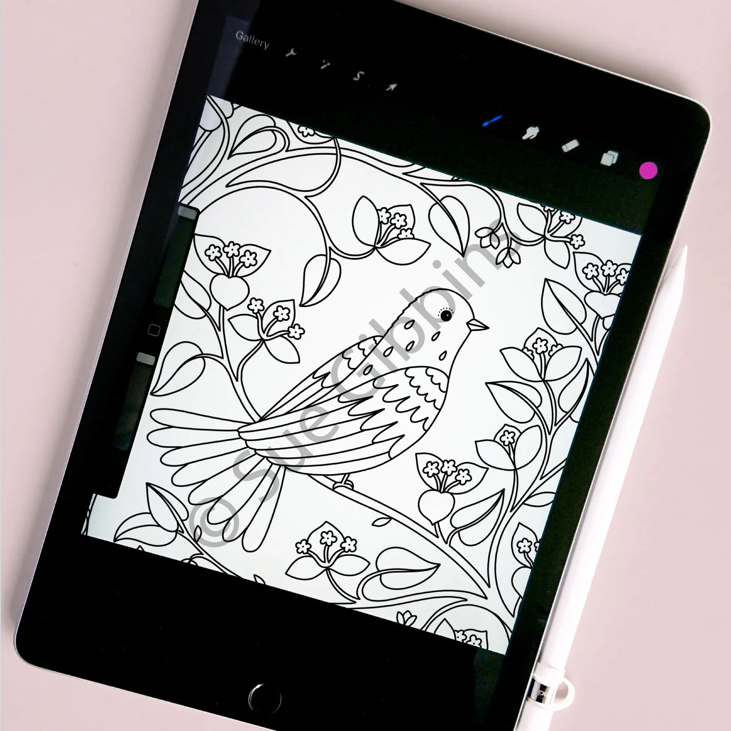 iPad-Colouring_Boug-Bird.jpg