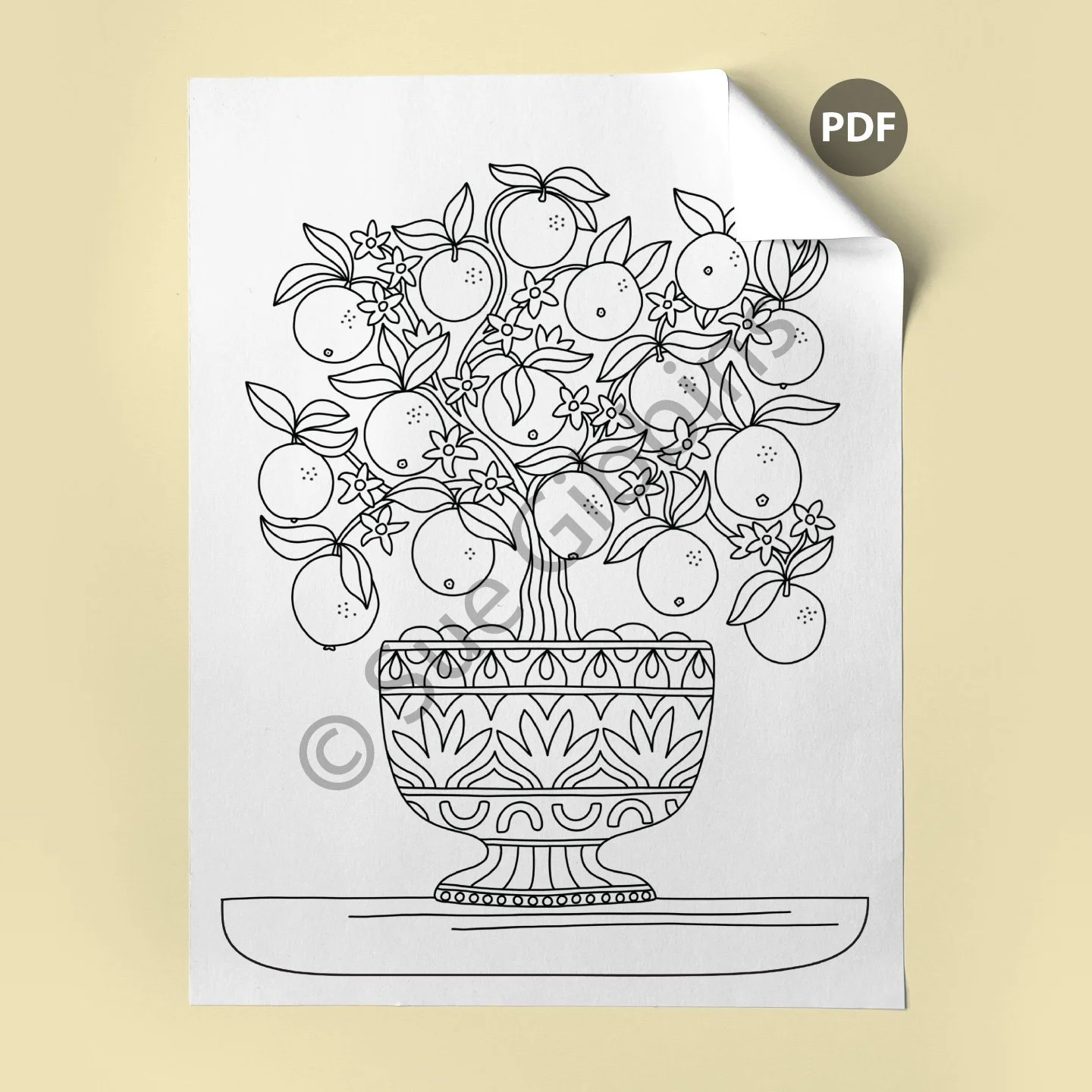 US-Coloring-Page-corner_Orange-Tree.jpg