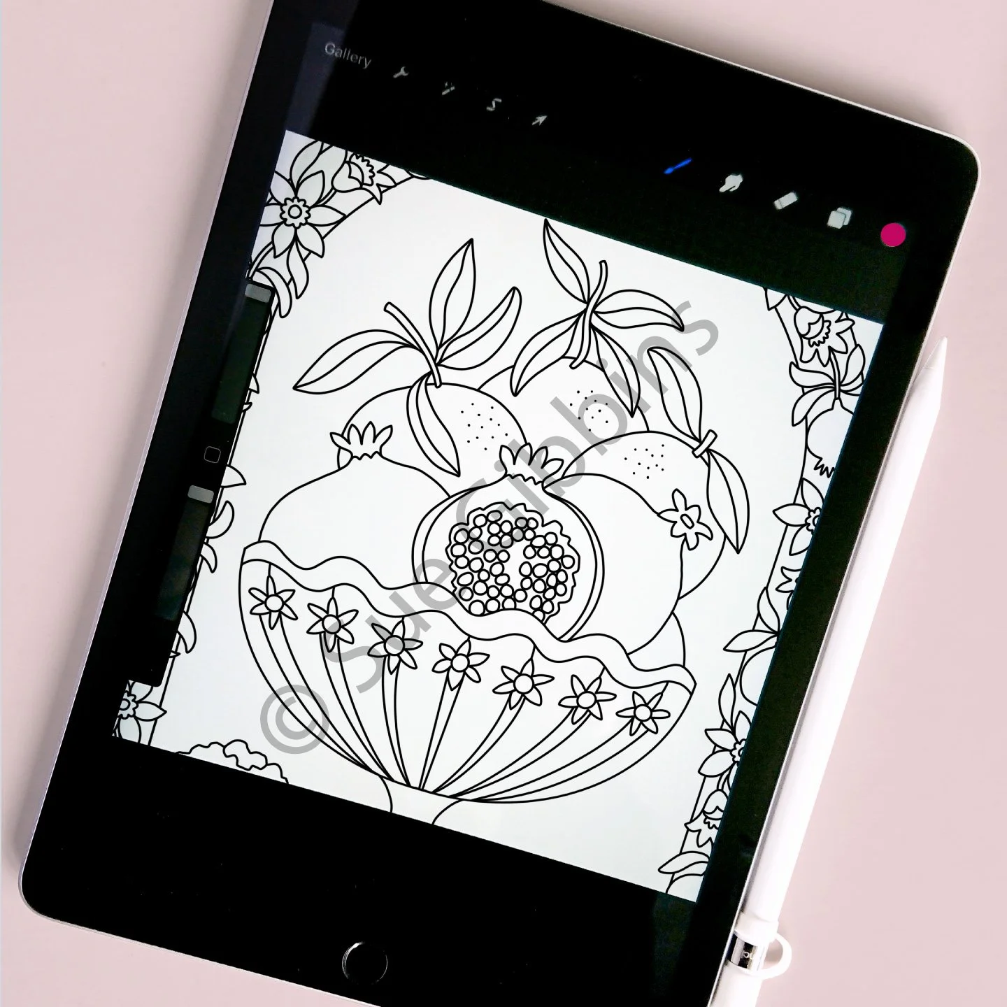 iPad-Colouring_Pomegranate-Arch.jpg